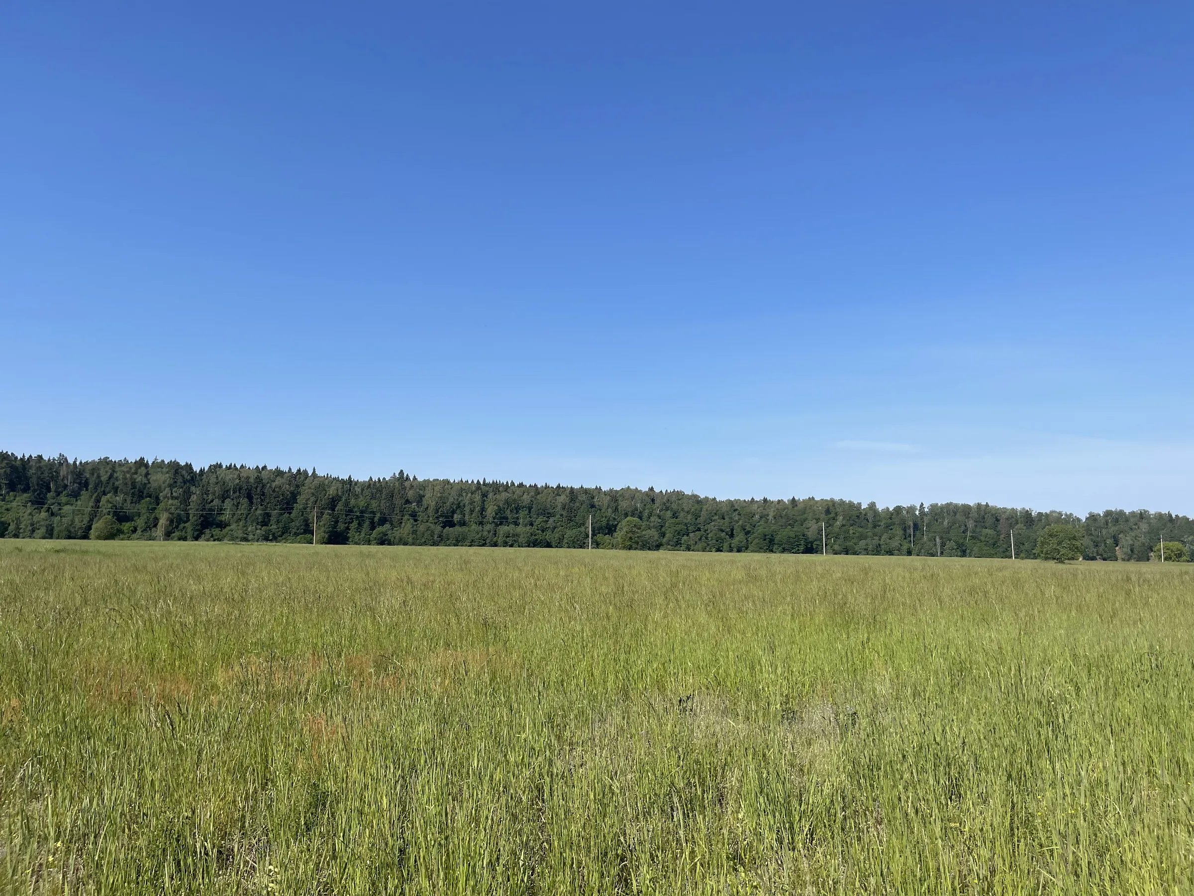 Поля с лесными озёрами, фото 16