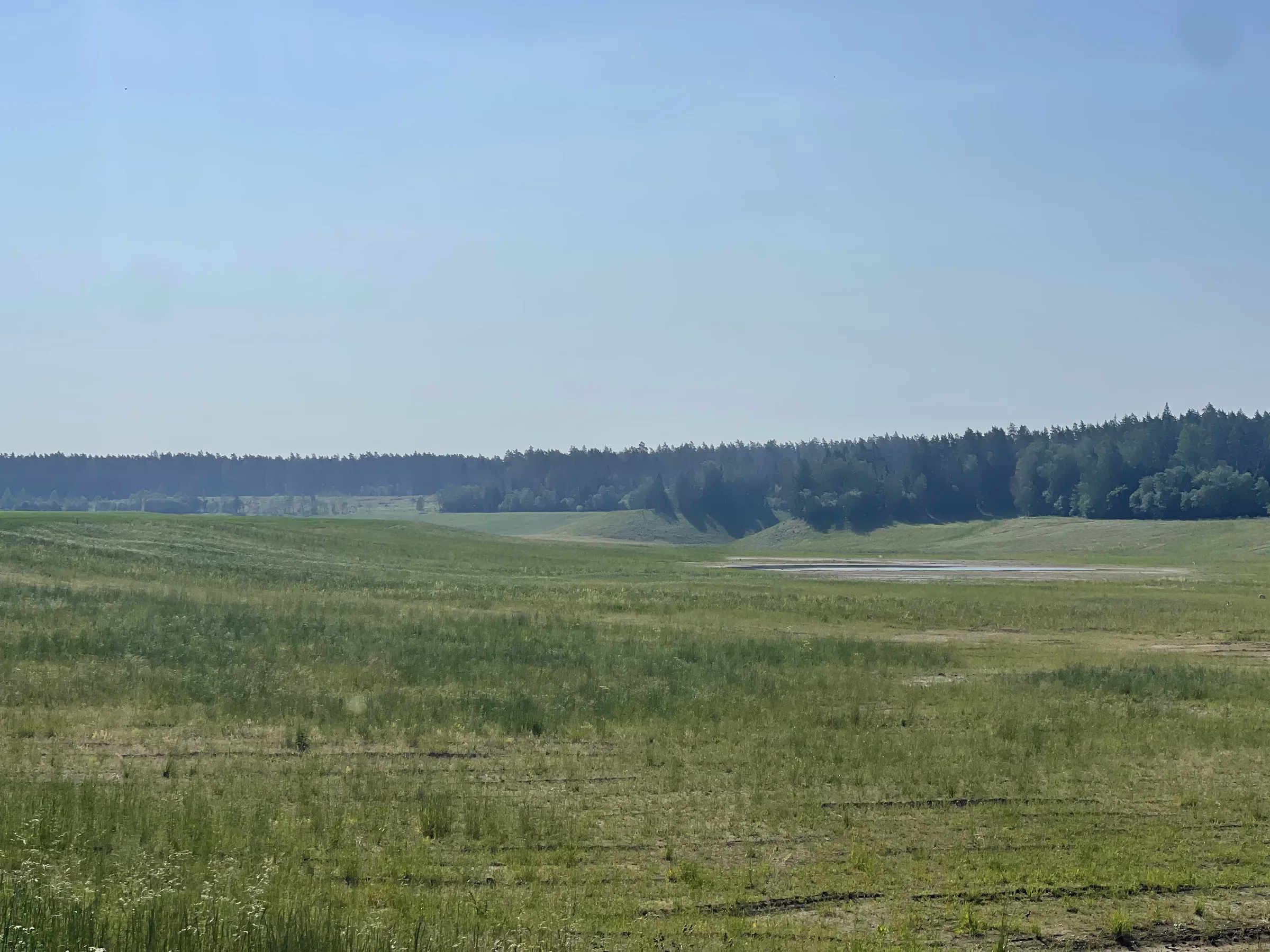 Поля с лесными озёрами, фото 2