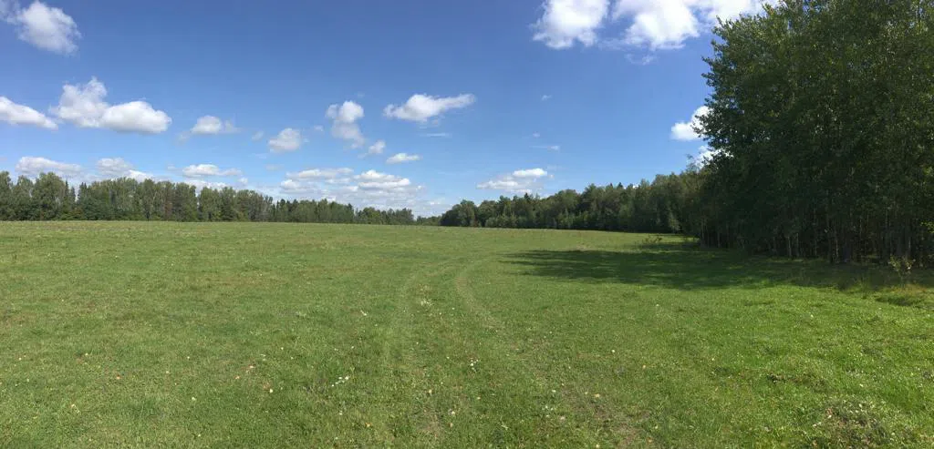 Ферма в поле с прудом, фото 6
