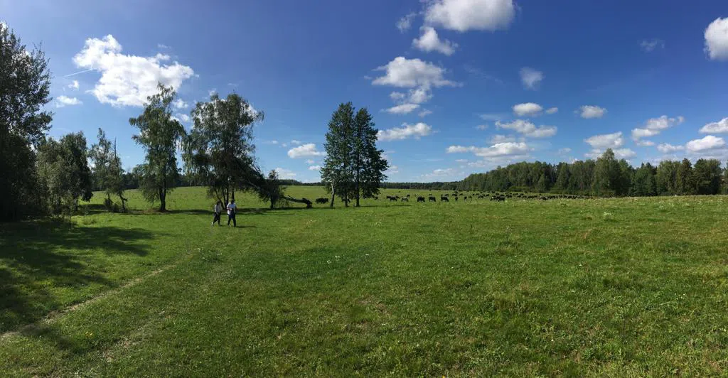 Ферма в поле с прудом, фото 4