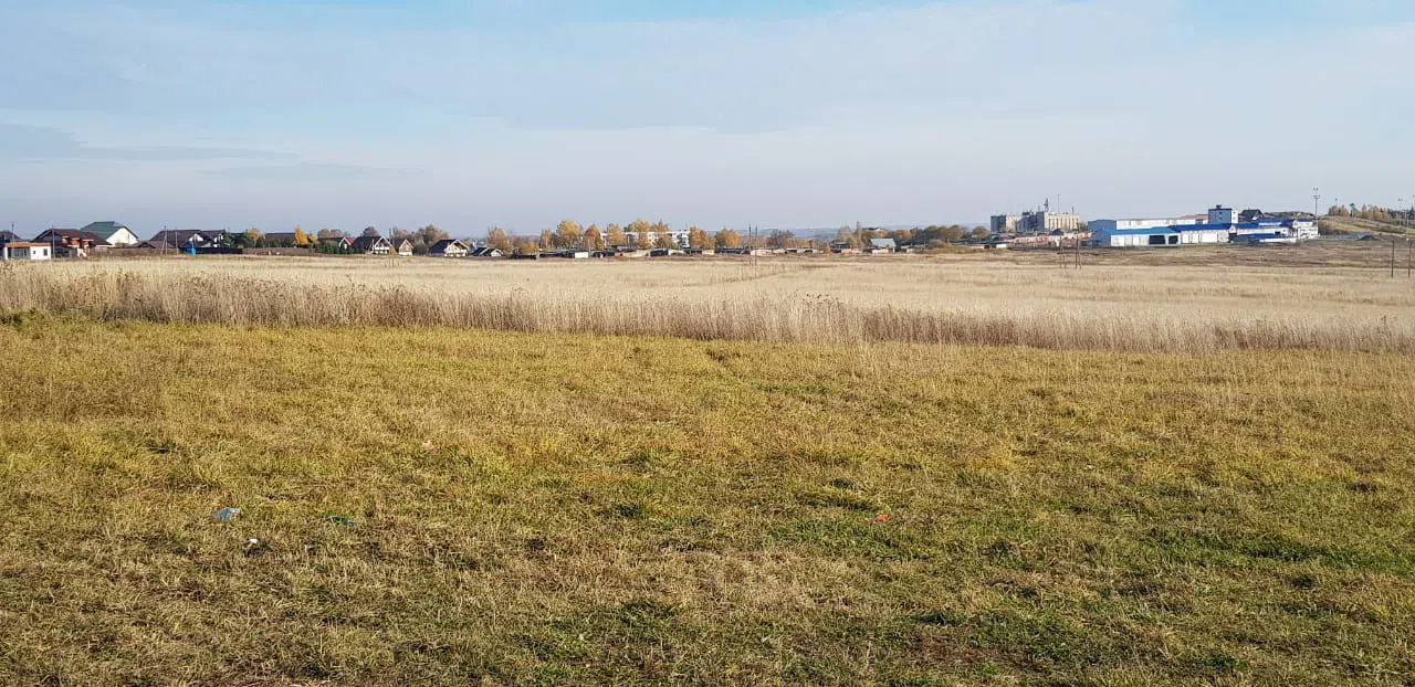 Полевая дорога за городом, фото 3
