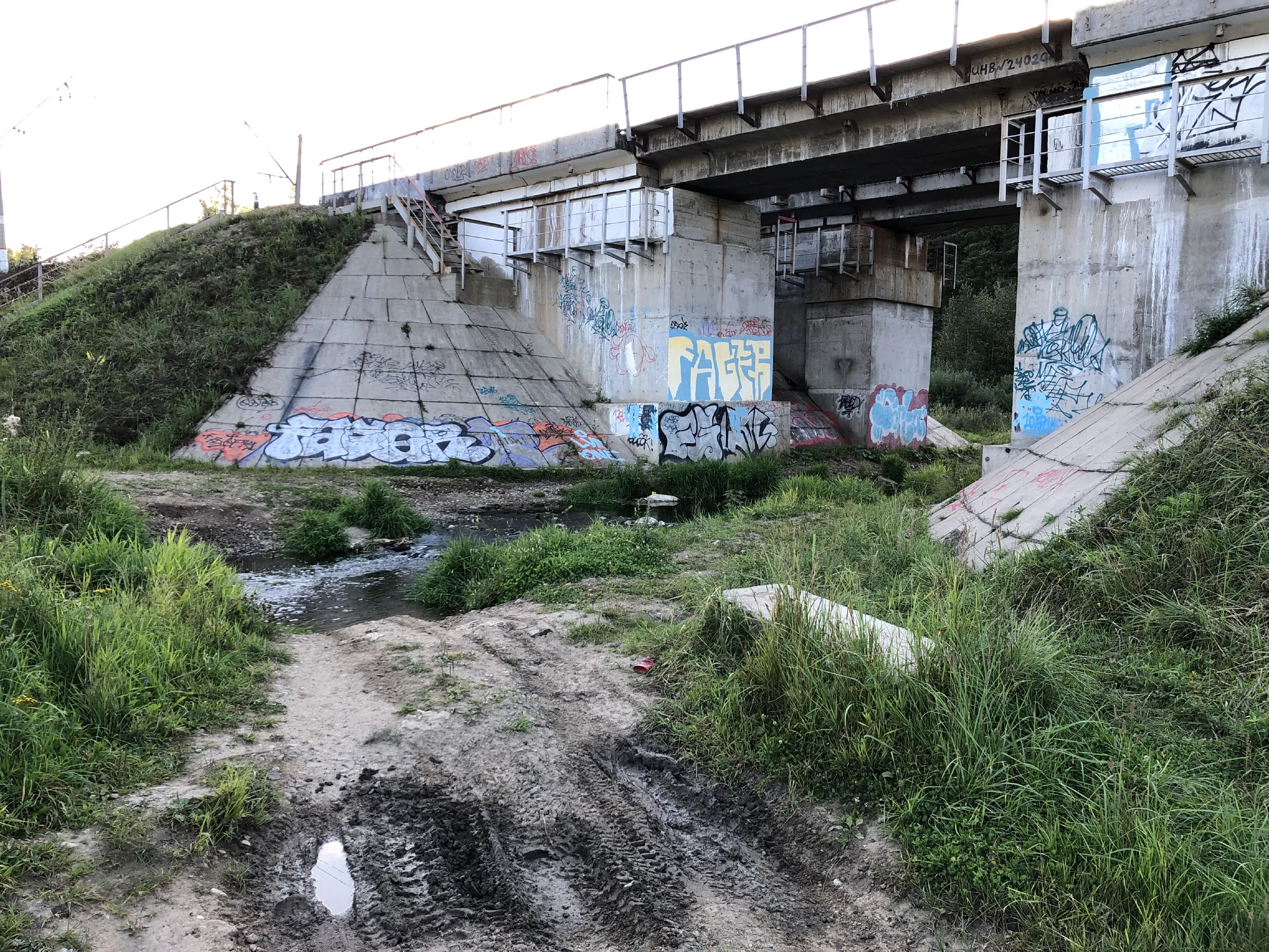 Поле у лесной опушки, фото 23