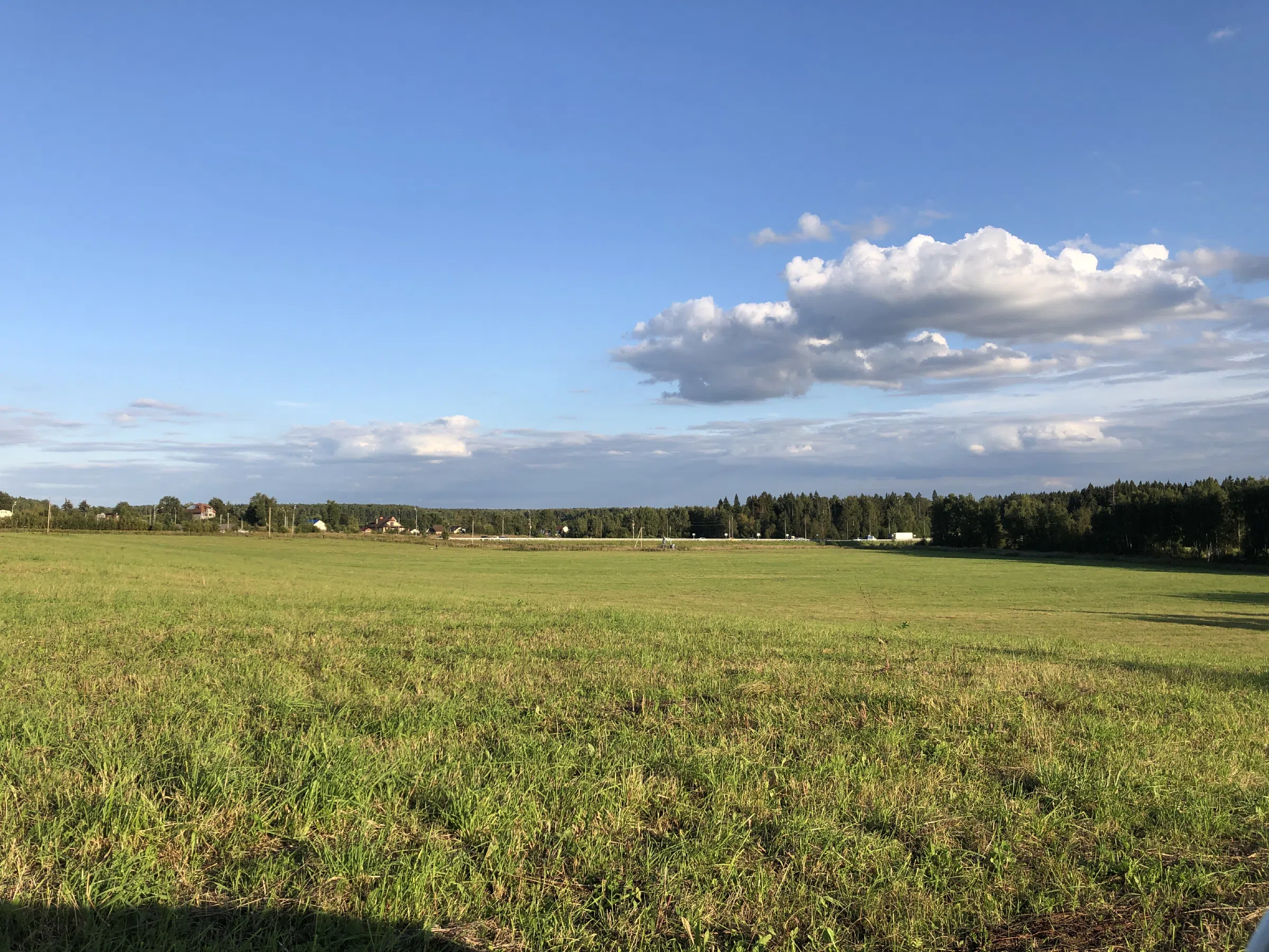 Поле у лесной опушки, фото 2