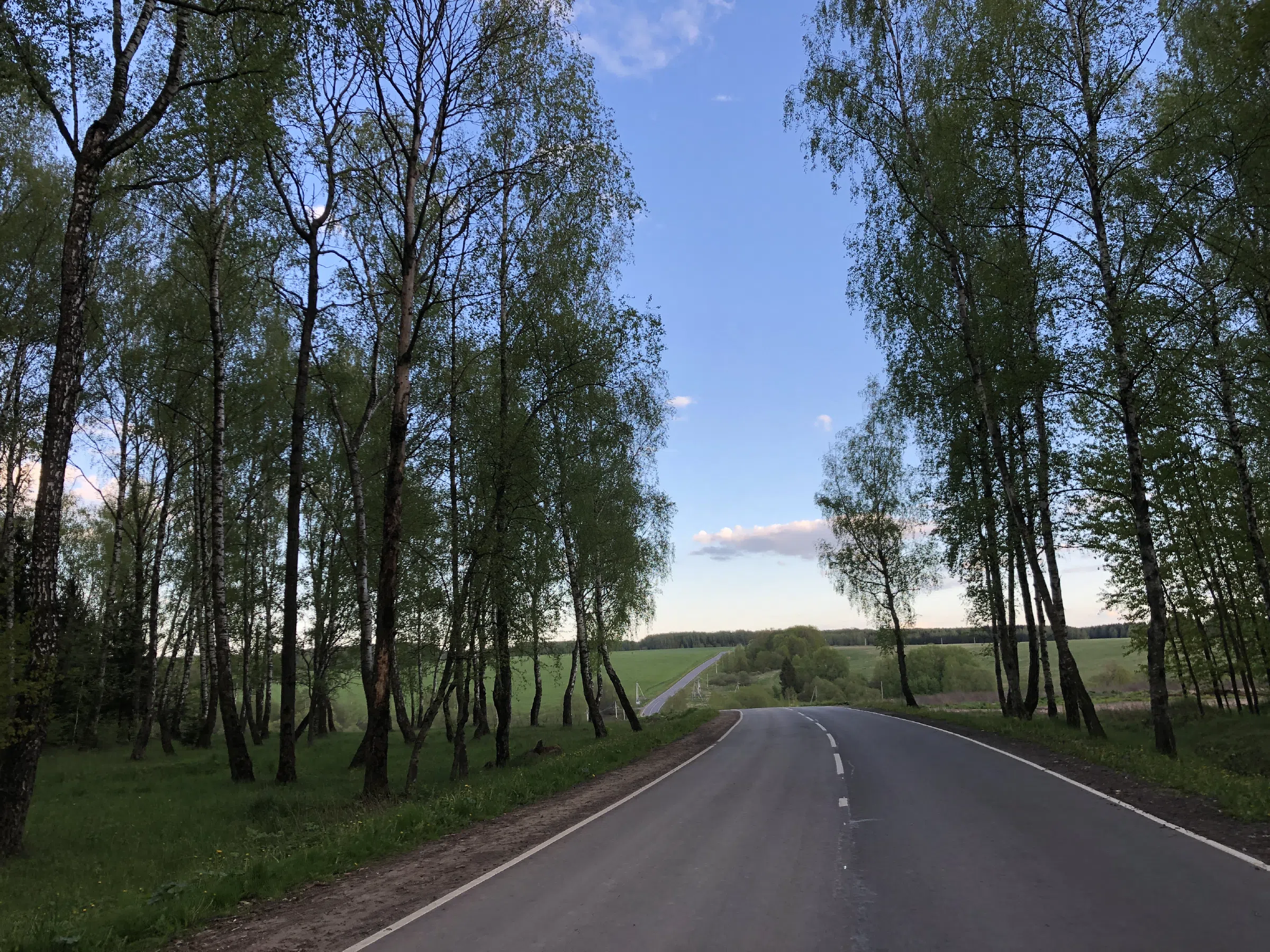 Дорога через поле, фото 3