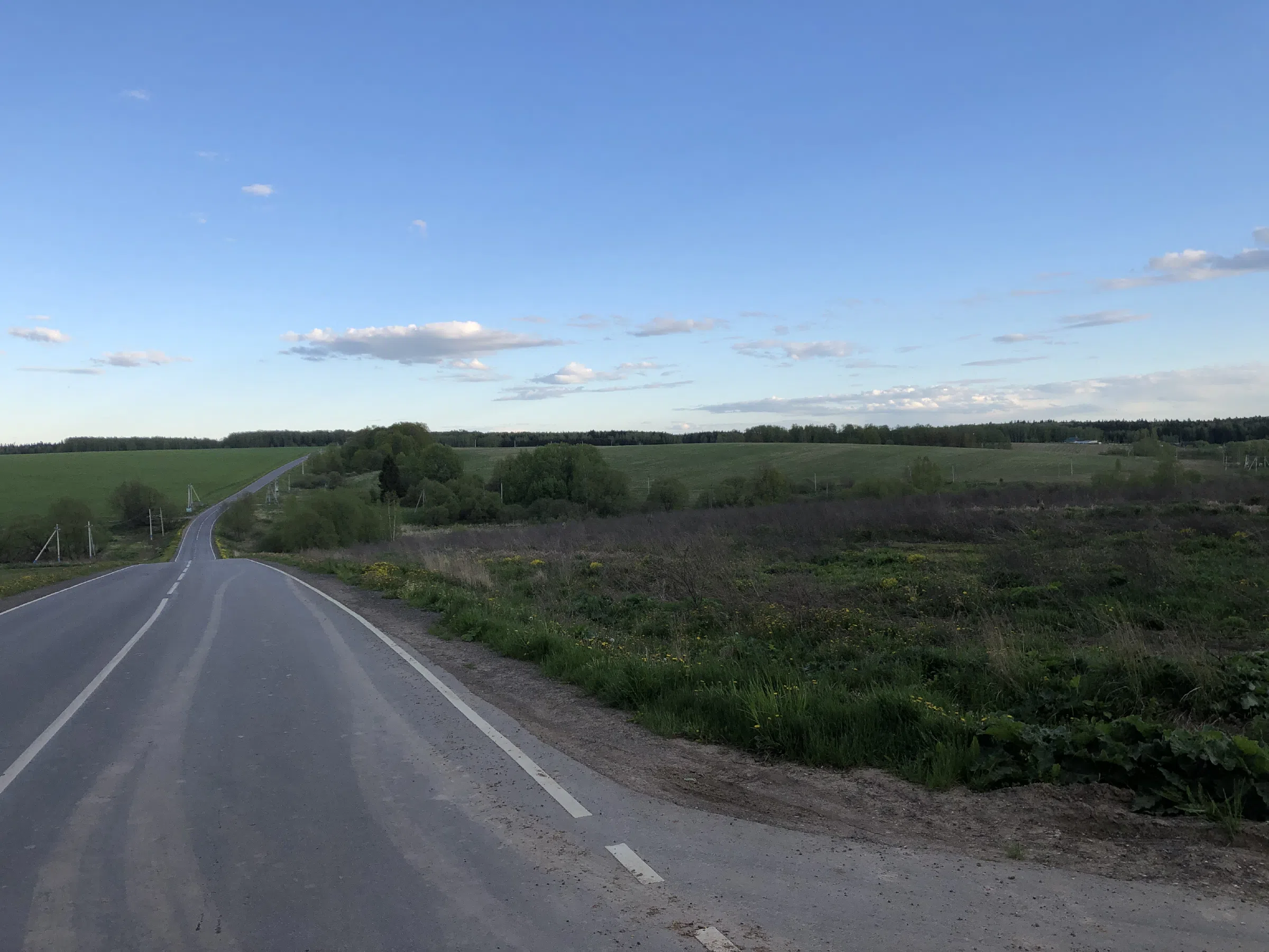 Дорога через поле, фото 5