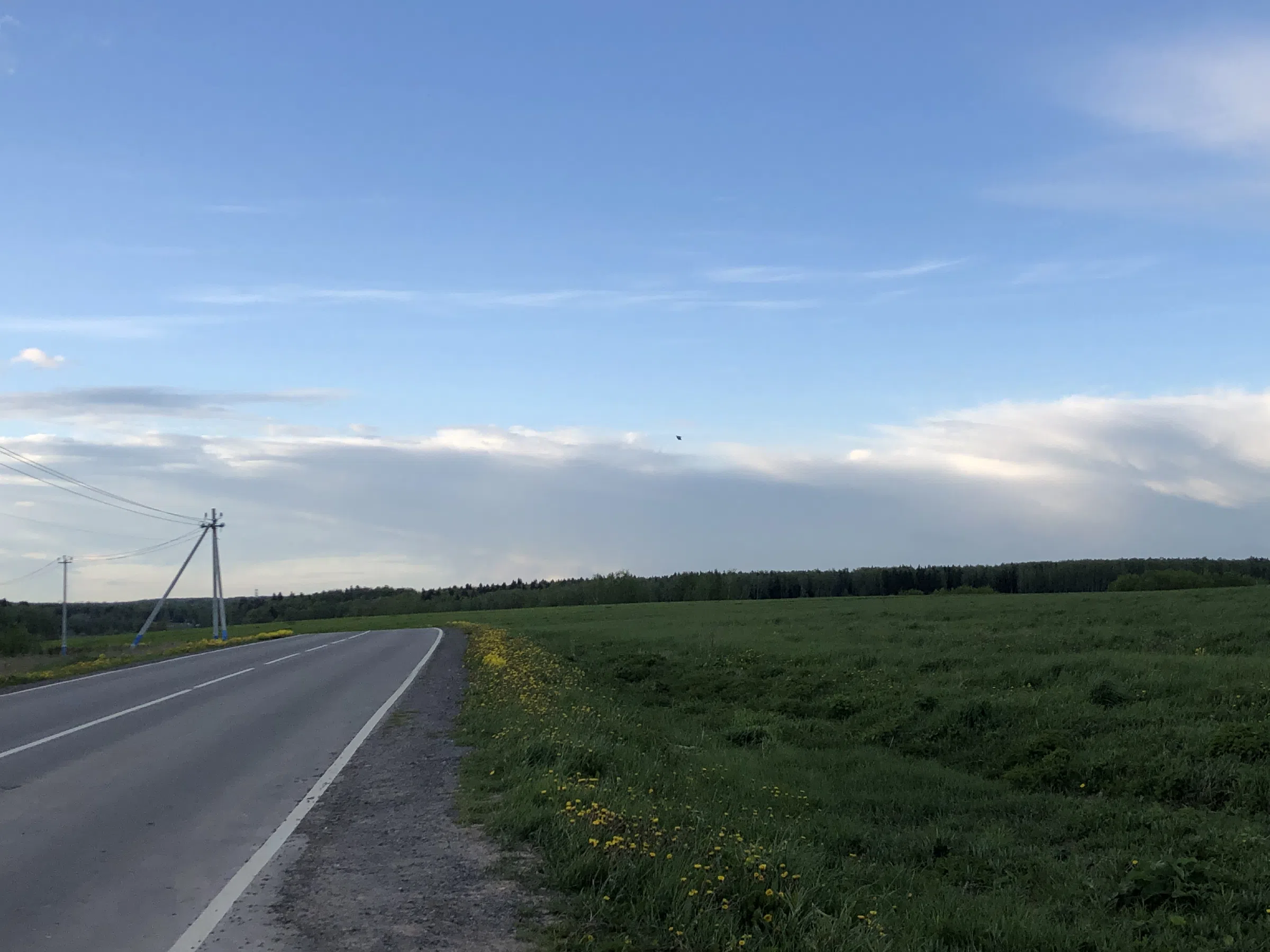 Дорога через поле, фото 13