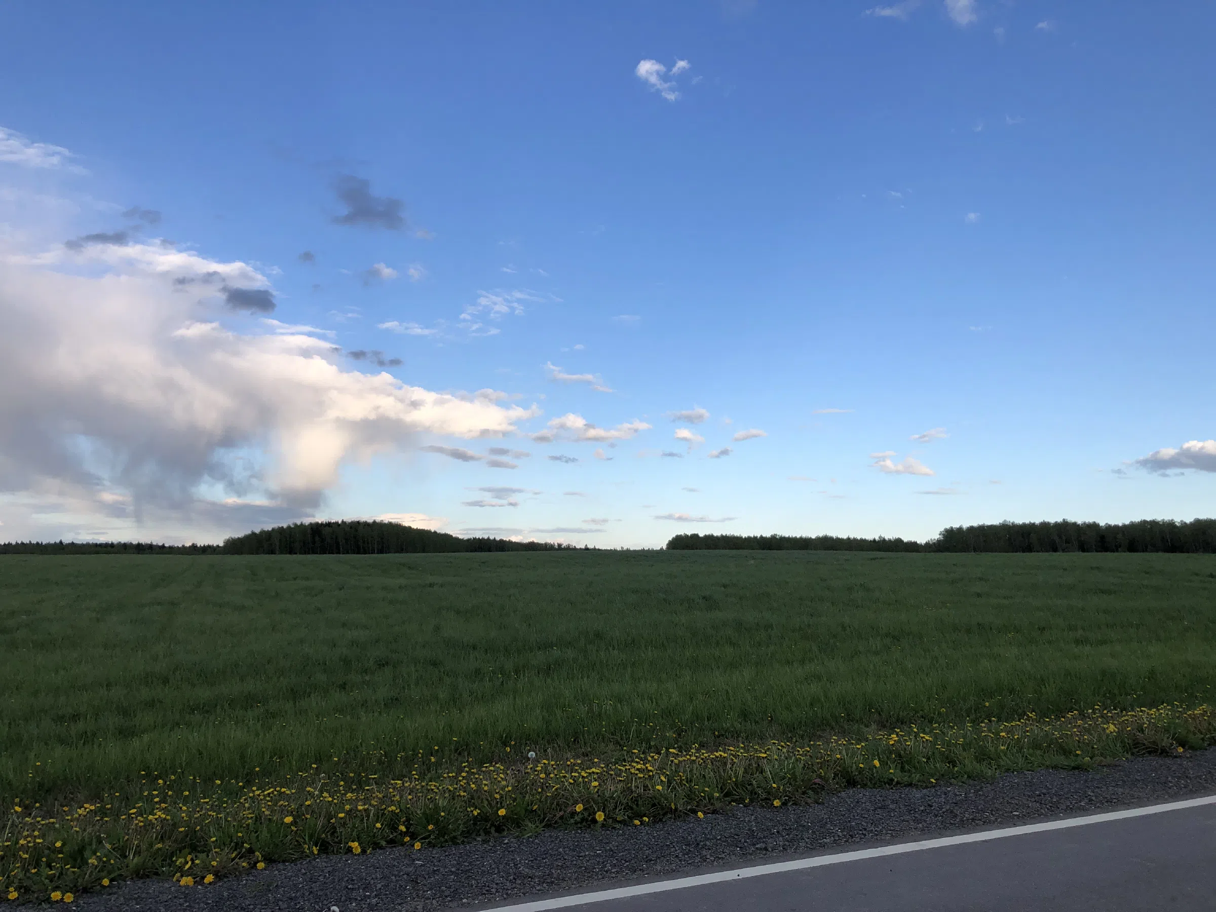 Дорога через поле, фото 11