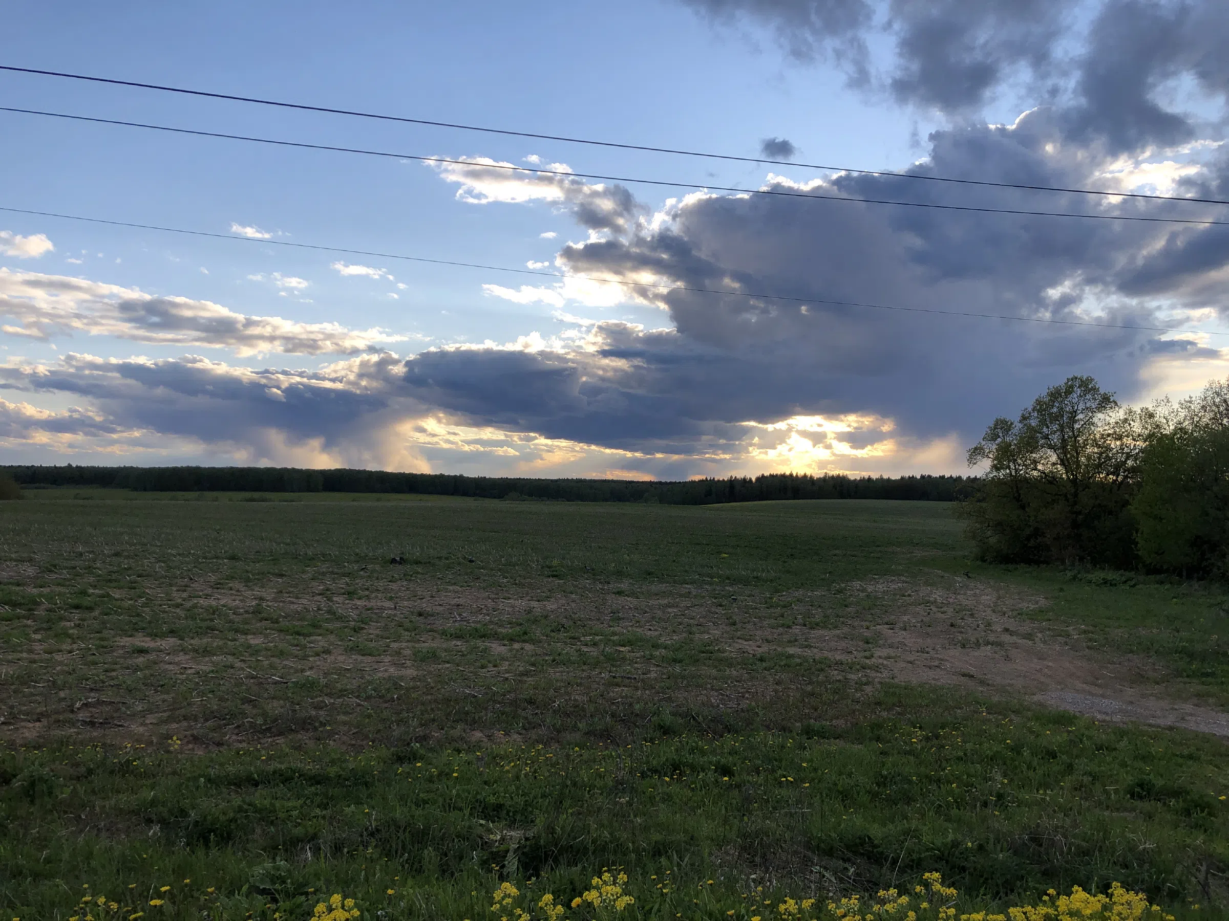 Дорога через поле, фото 10