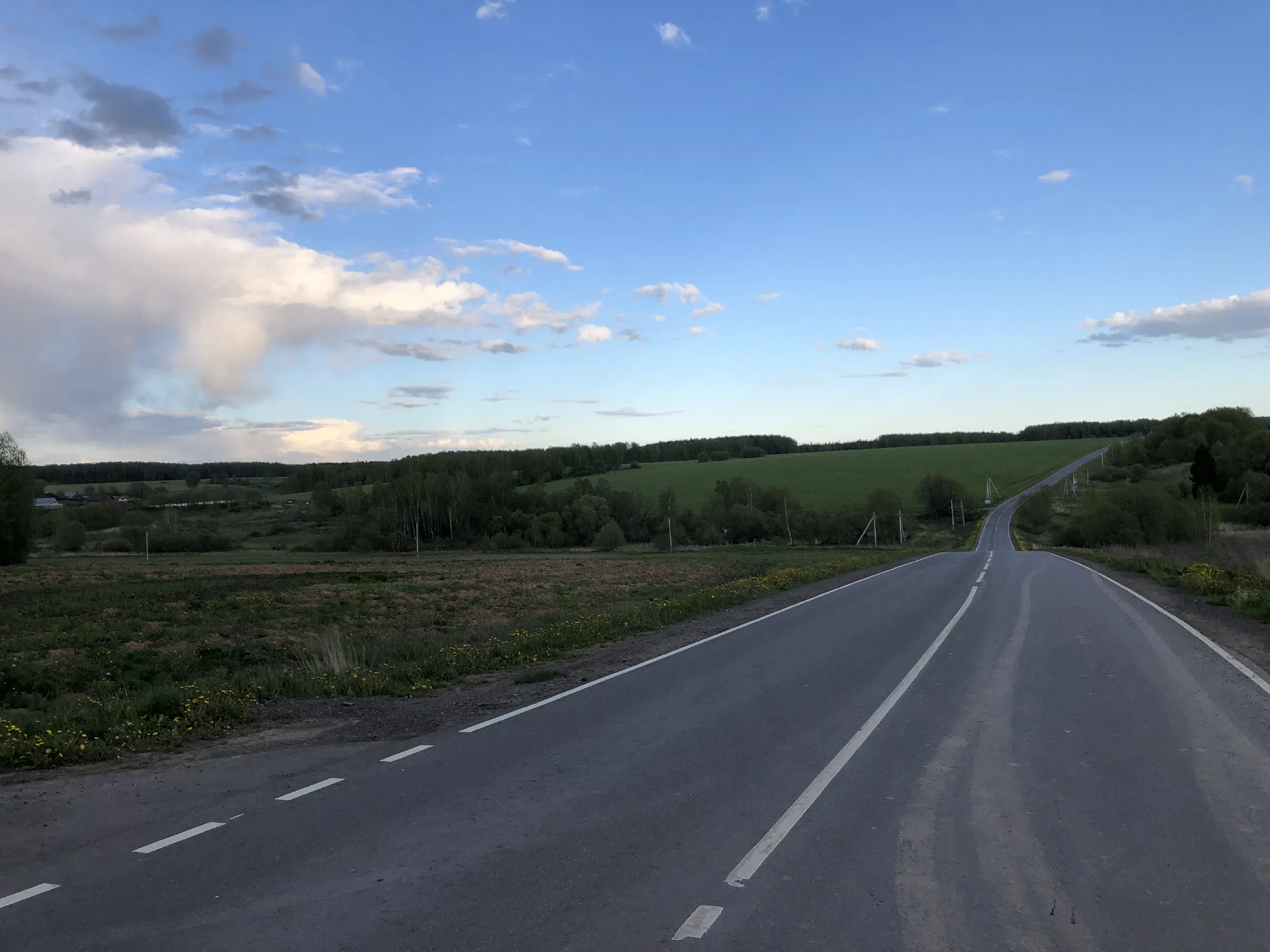 Дорога через поле, фото 4