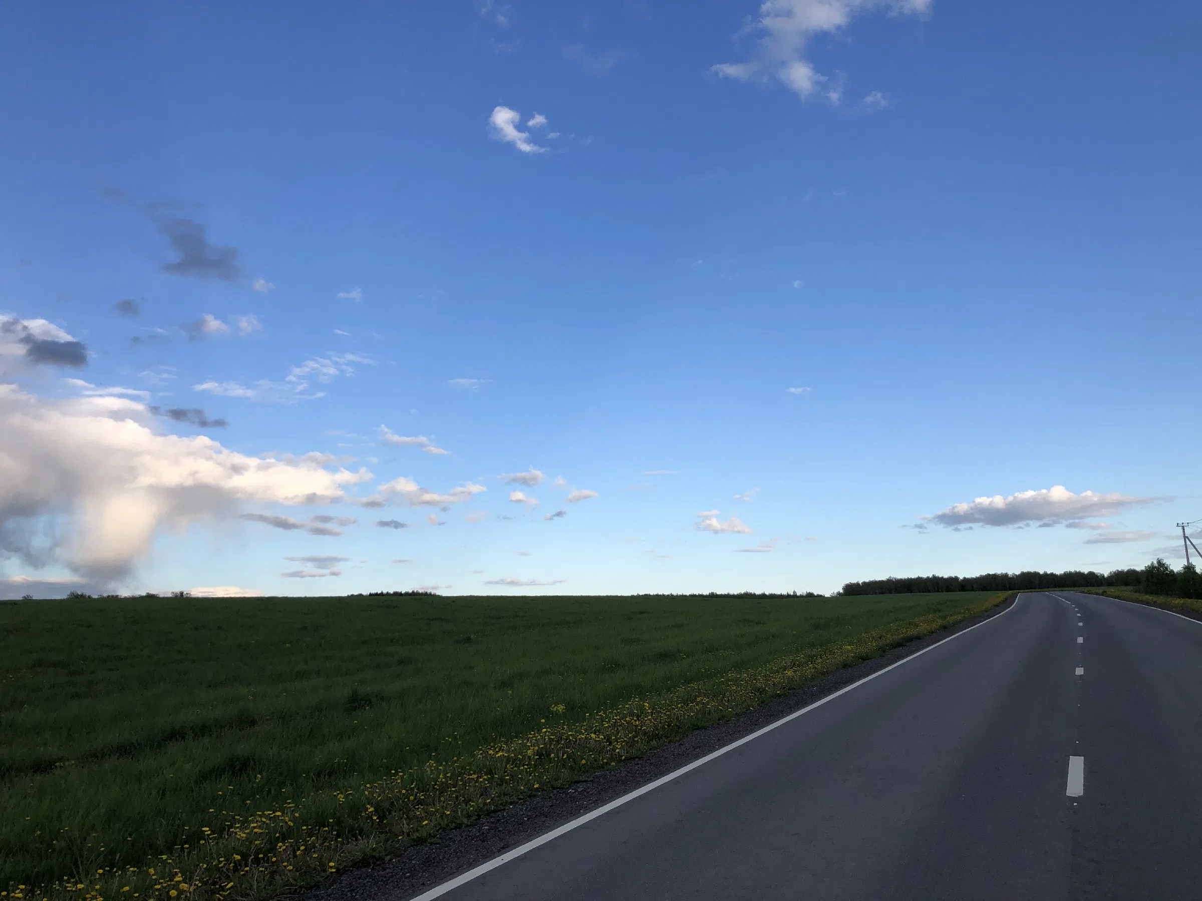 Дорога через поле, фото 9