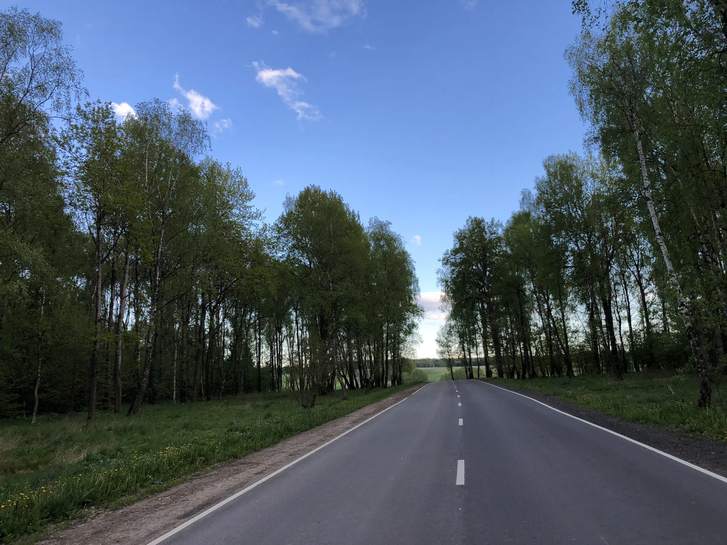 Дорога через поле, фото 2