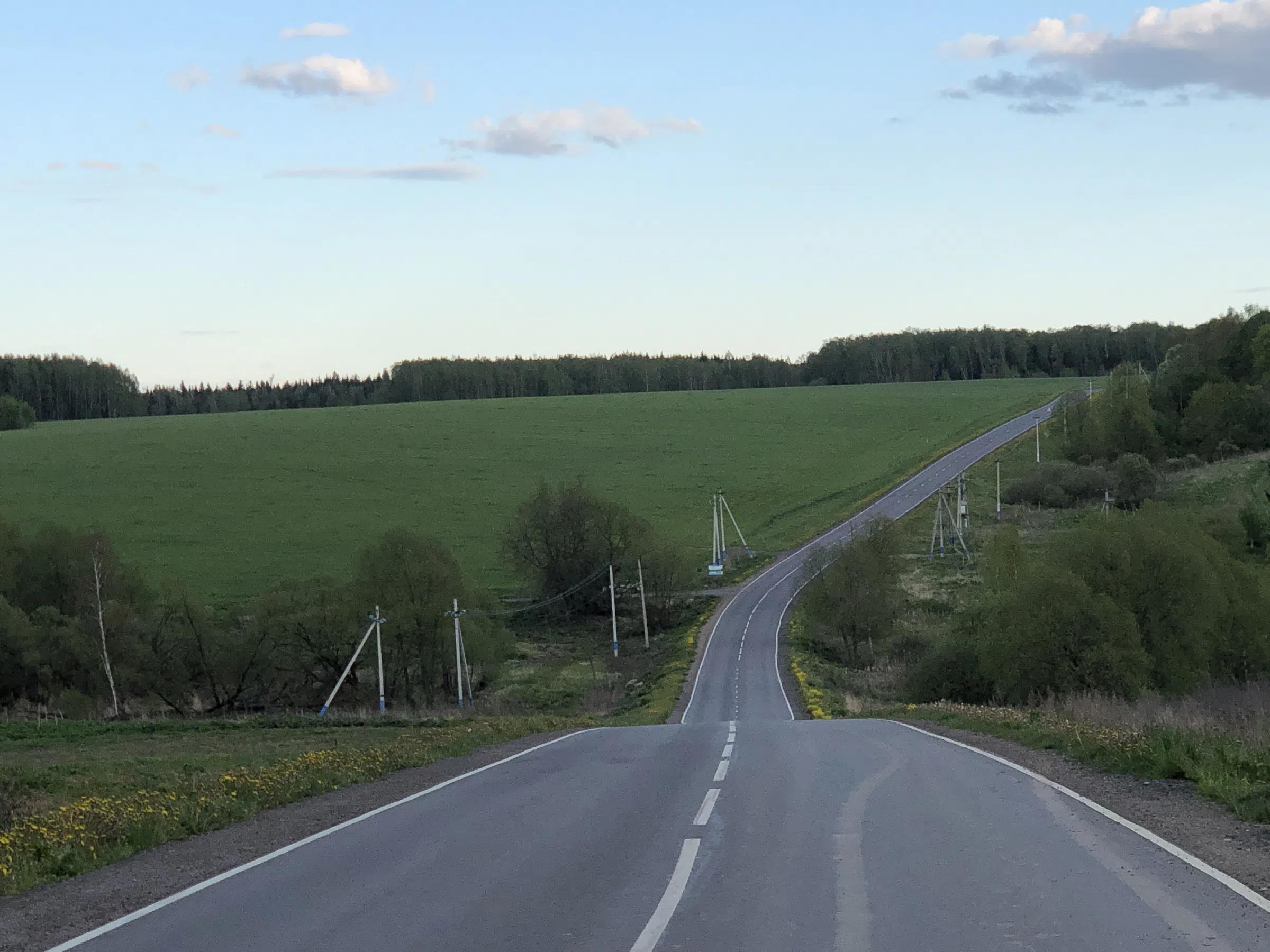 Дорога через поле, фото 6