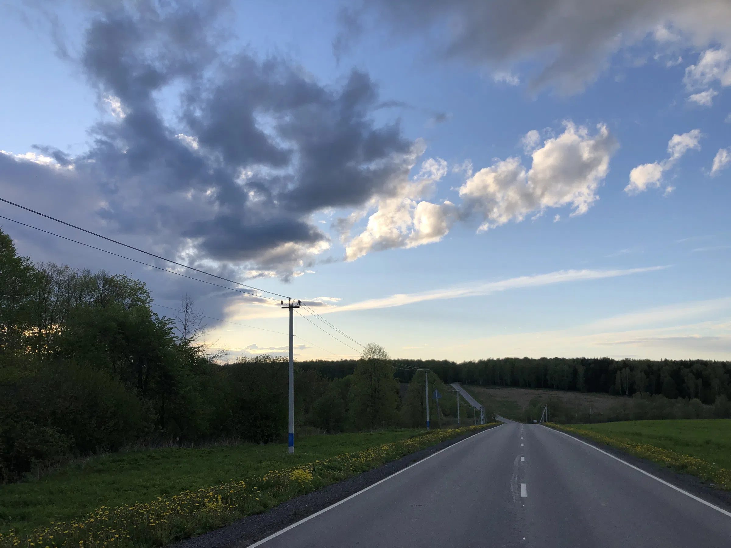 Дорога через поле, фото 14