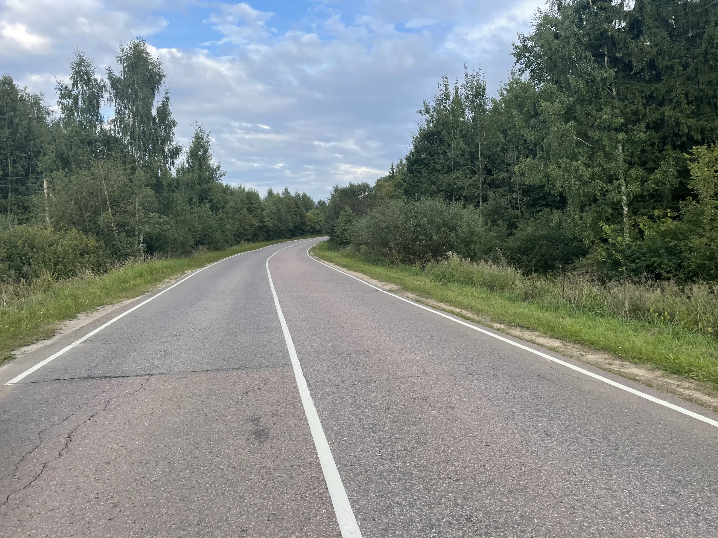 Дорога между полей, фото 9