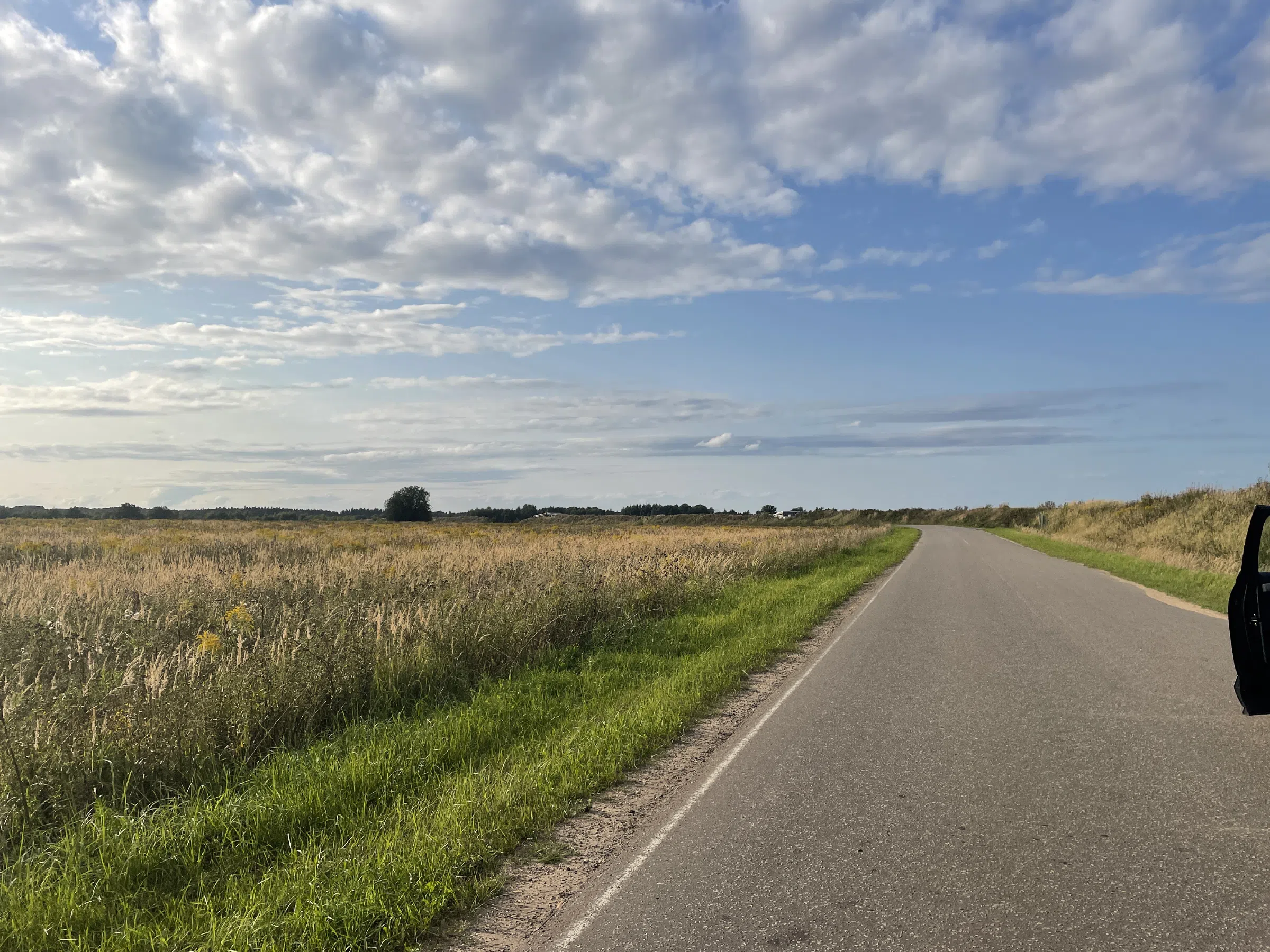Дорога между полей, фото 2