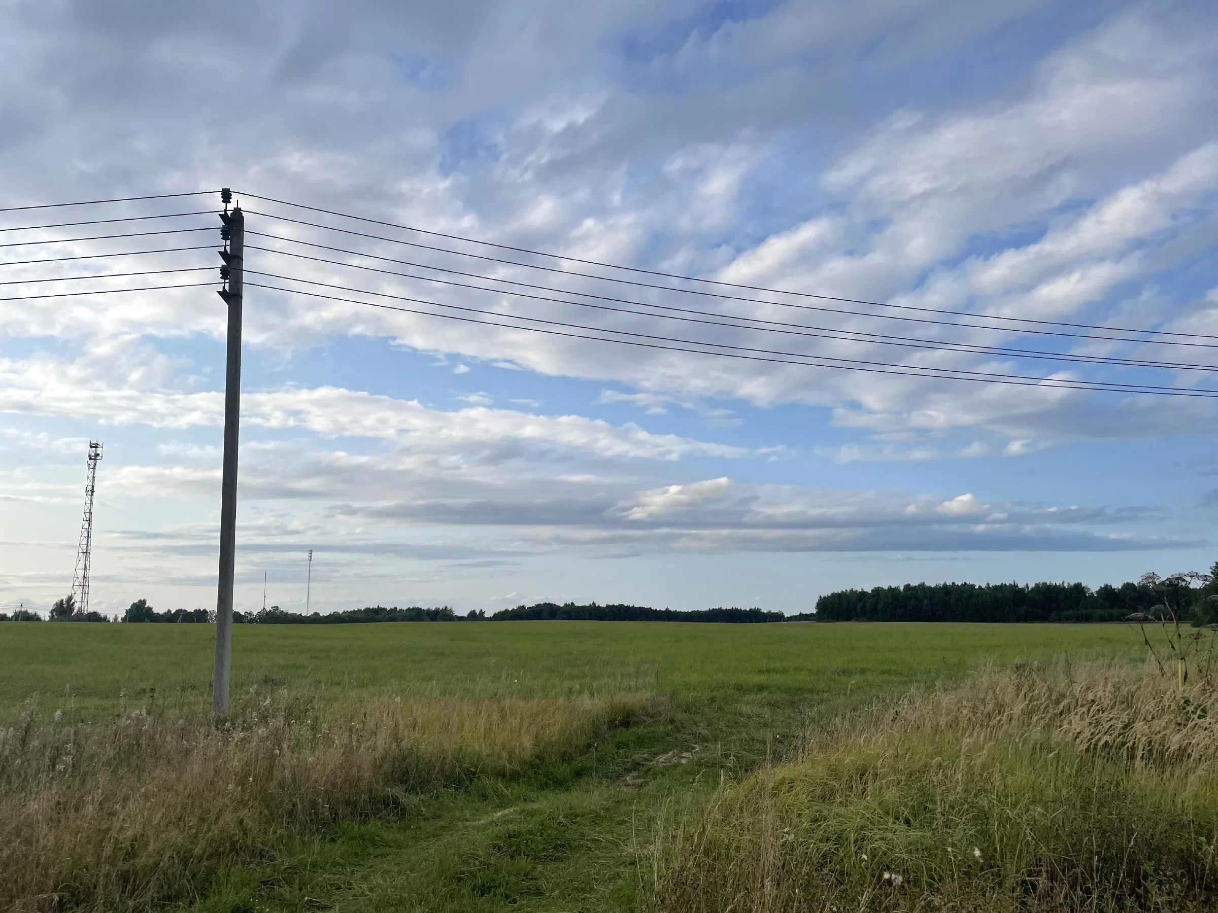 Дорога между полей, фото 15