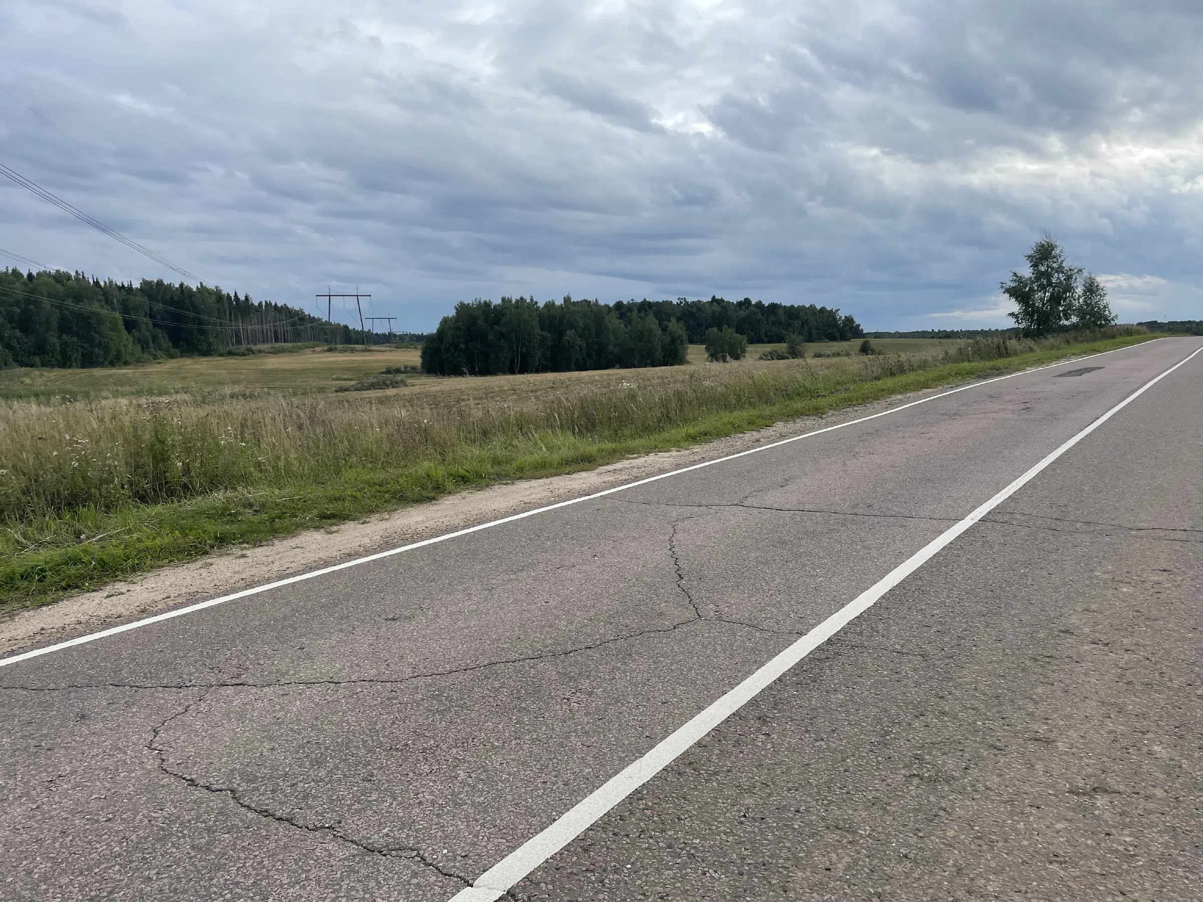 Дорога между полей, фото 14