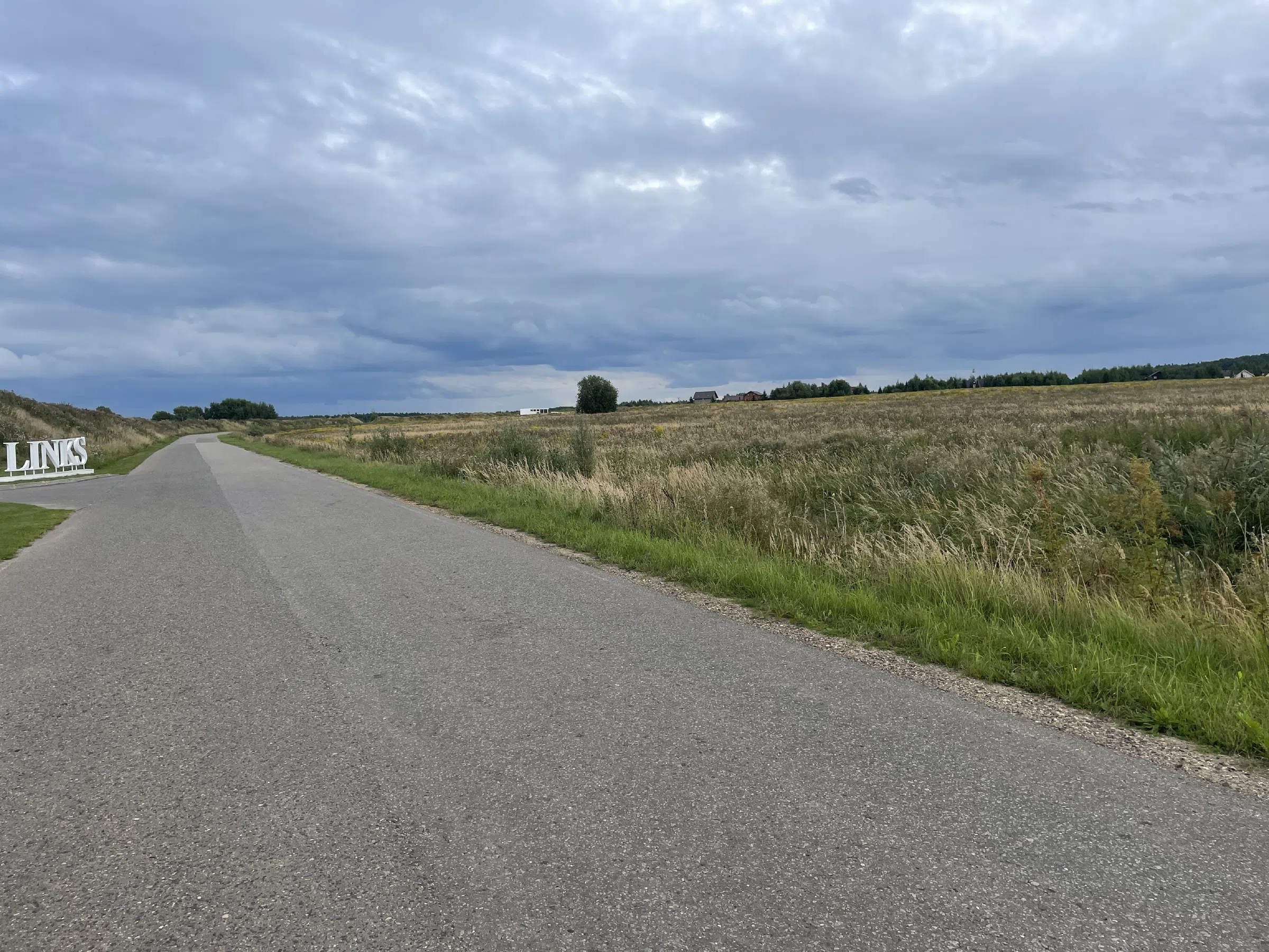 Дорога между полей, фото 6
