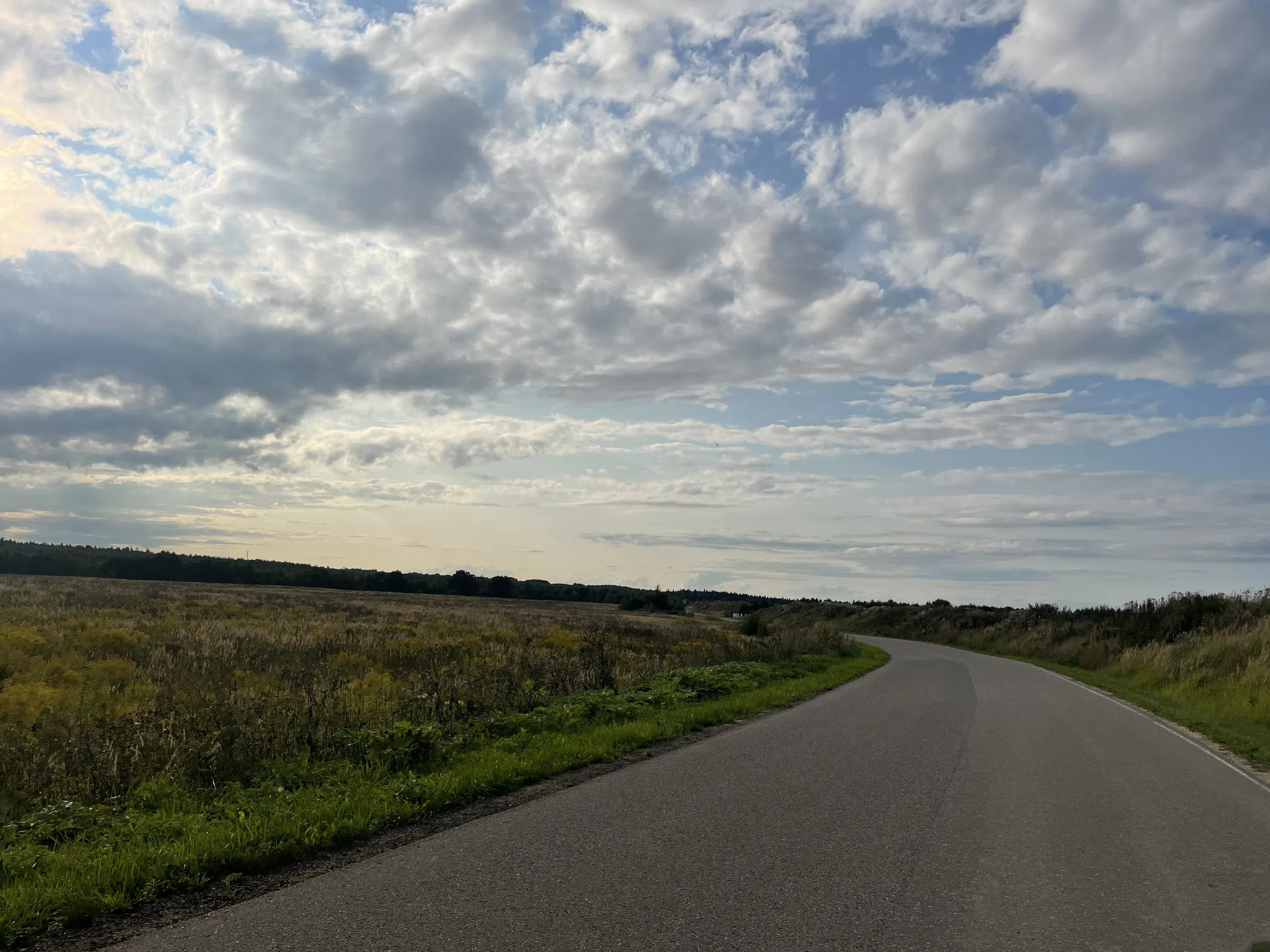 Дорога между полей, фото 3