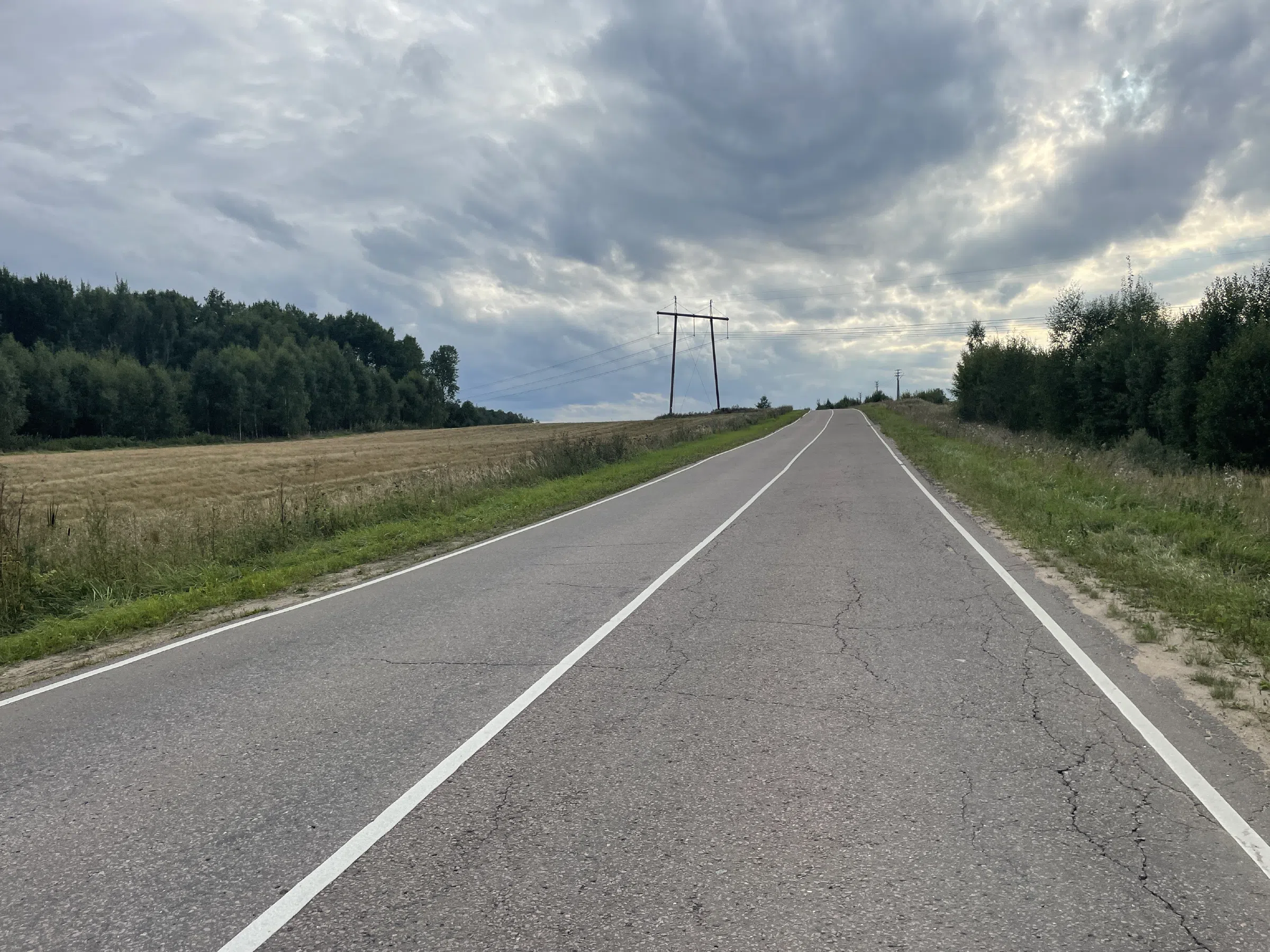 Дорога между полей, фото 8
