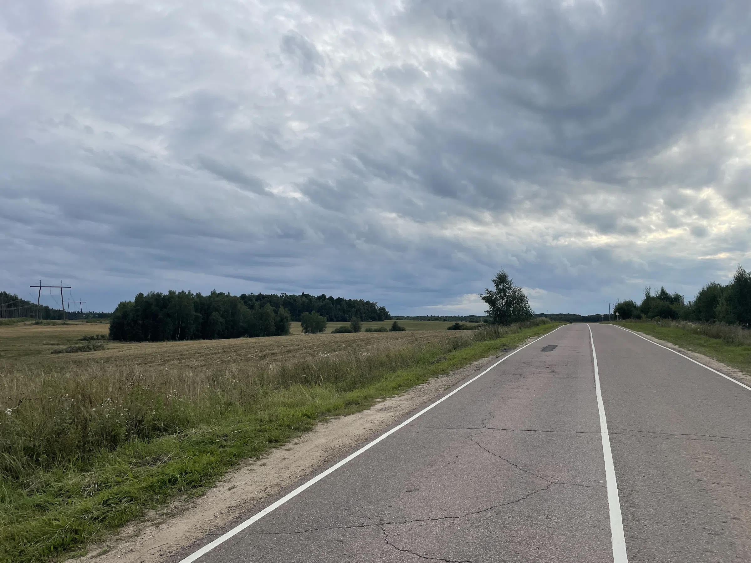 Дорога между полей, фото 13