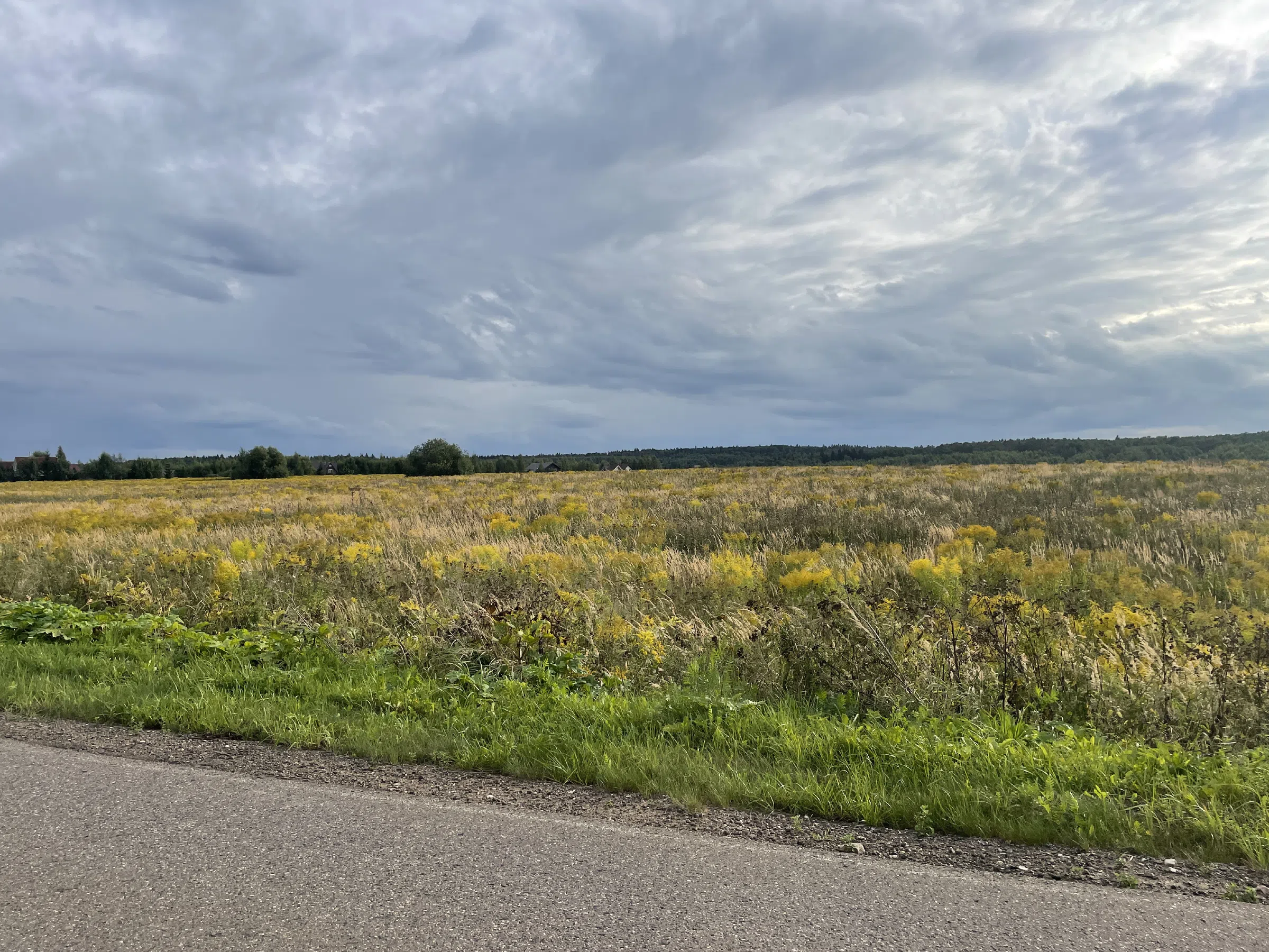 Дорога между полей, фото 5