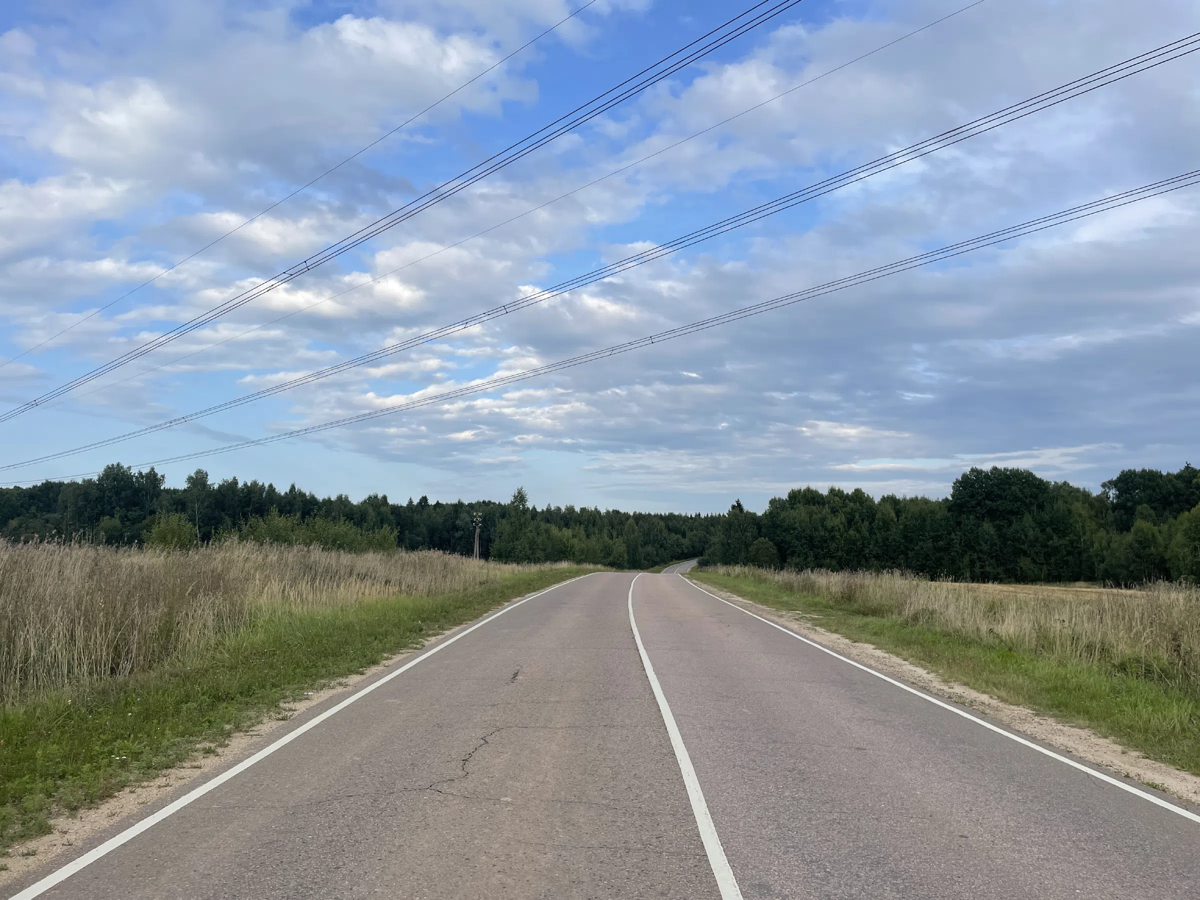 Дорога между полей, фото 10