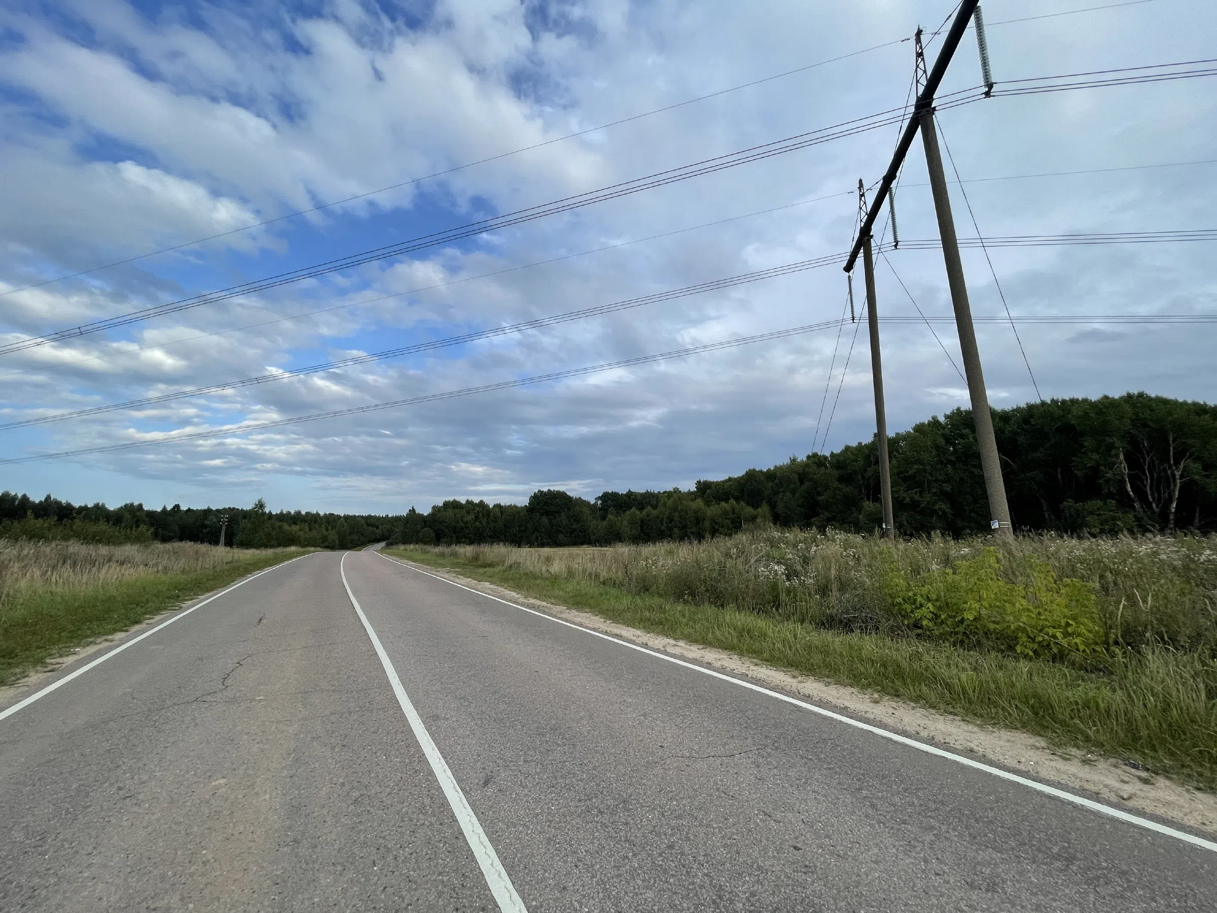 Дорога между полей, фото 11