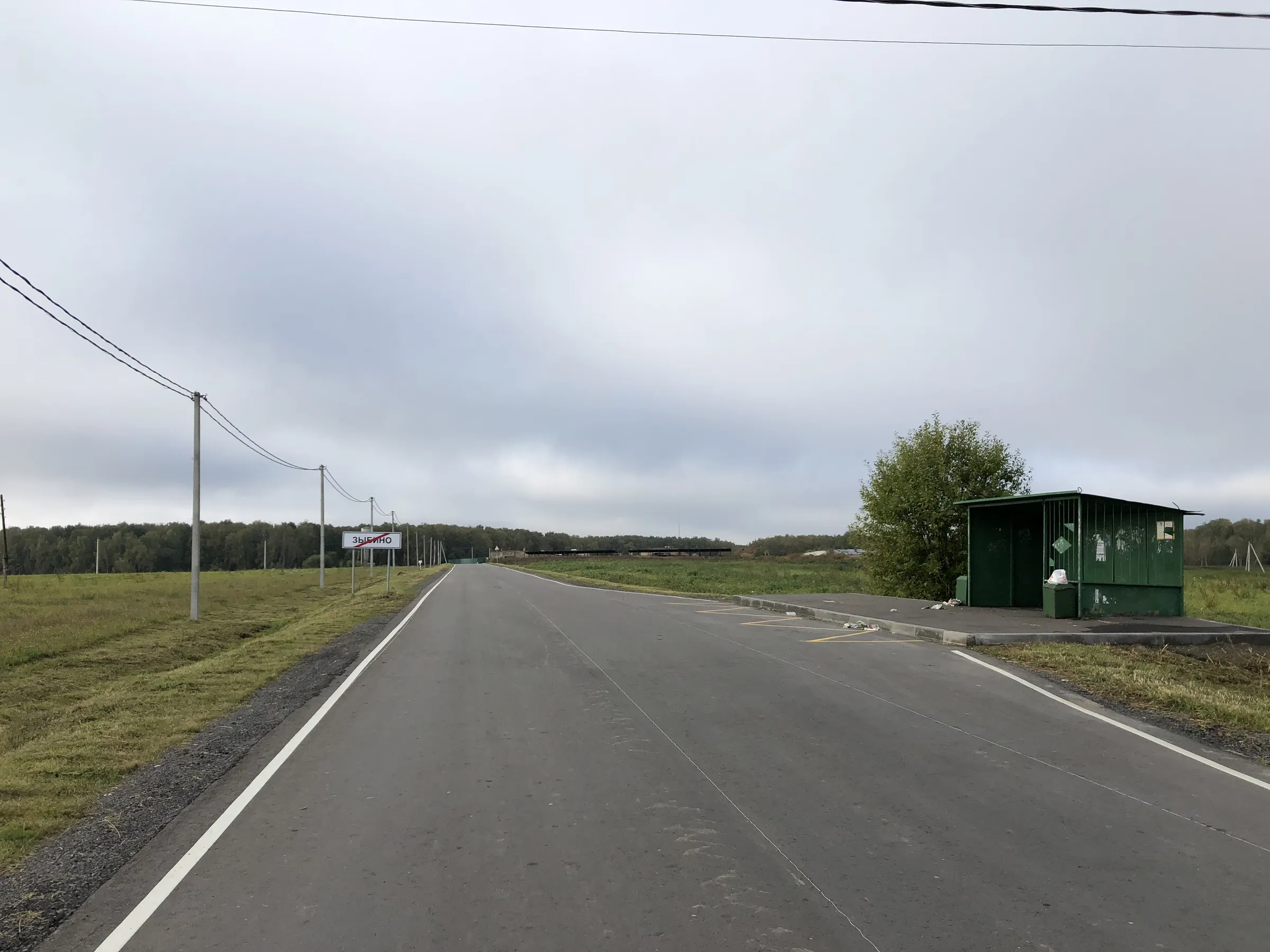 Зеленое поле с лесом, фото 12