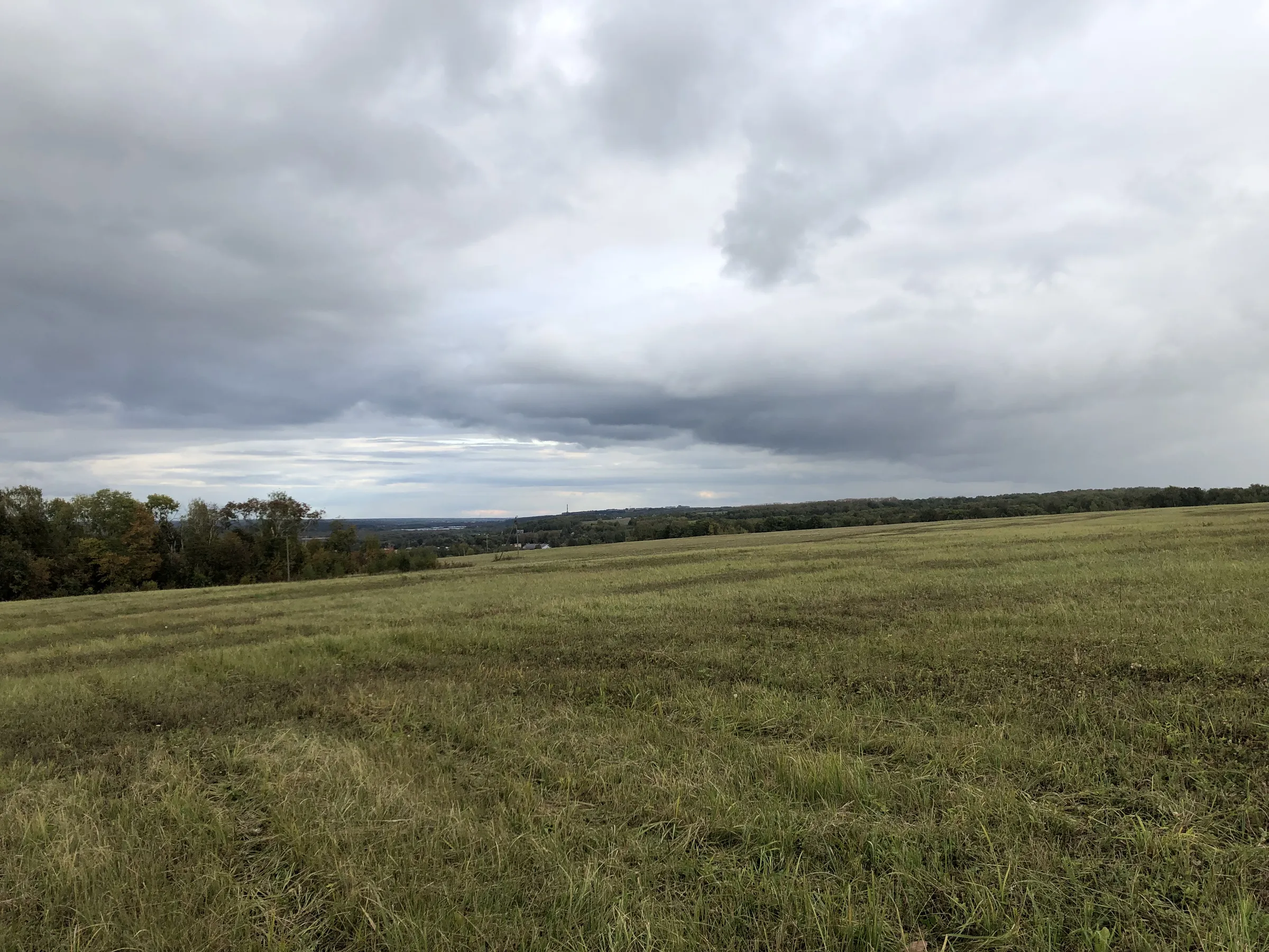 Панорамное поле у реки, фото 2