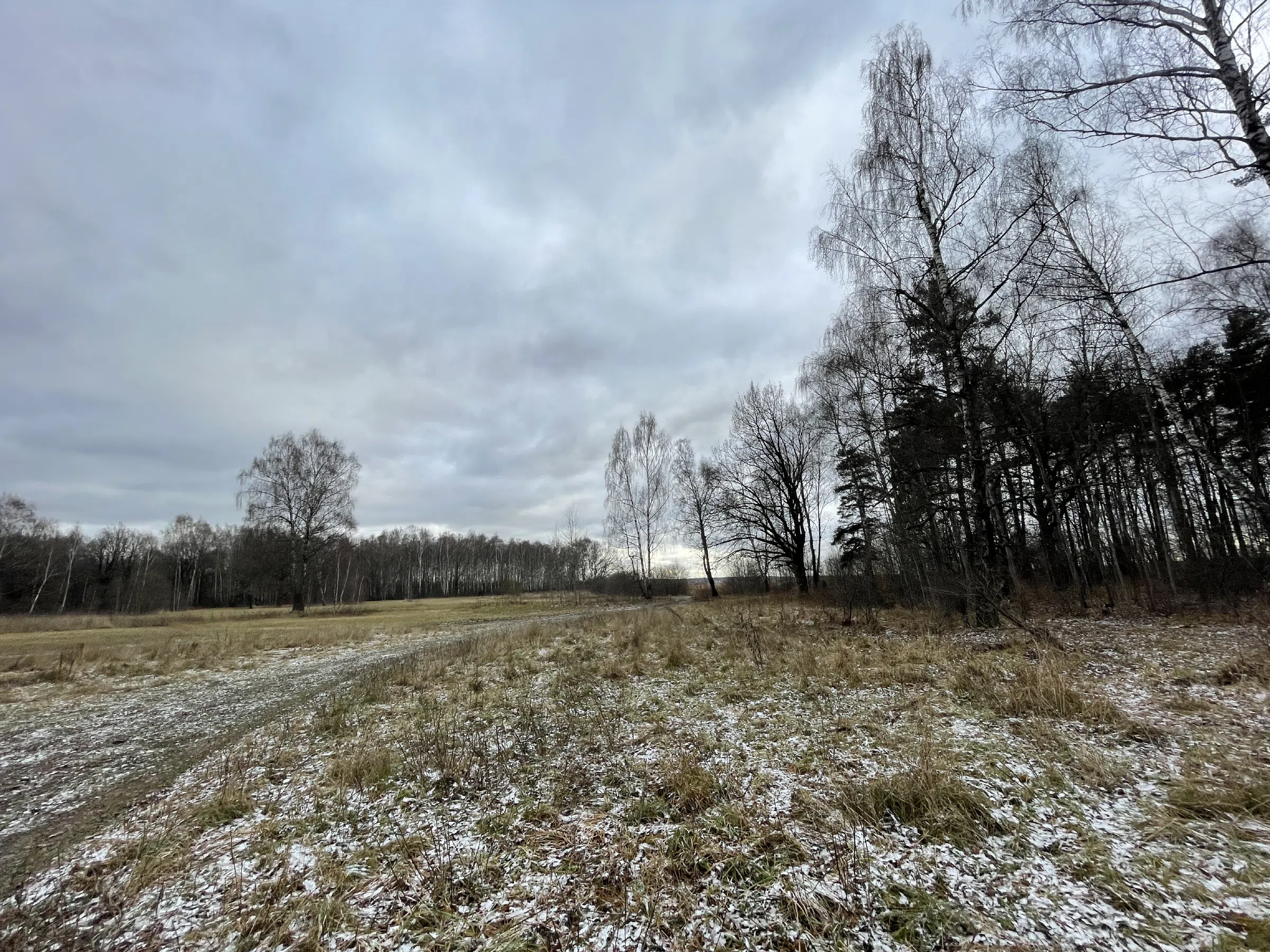 Поляна с лесом и тропой, фото 12