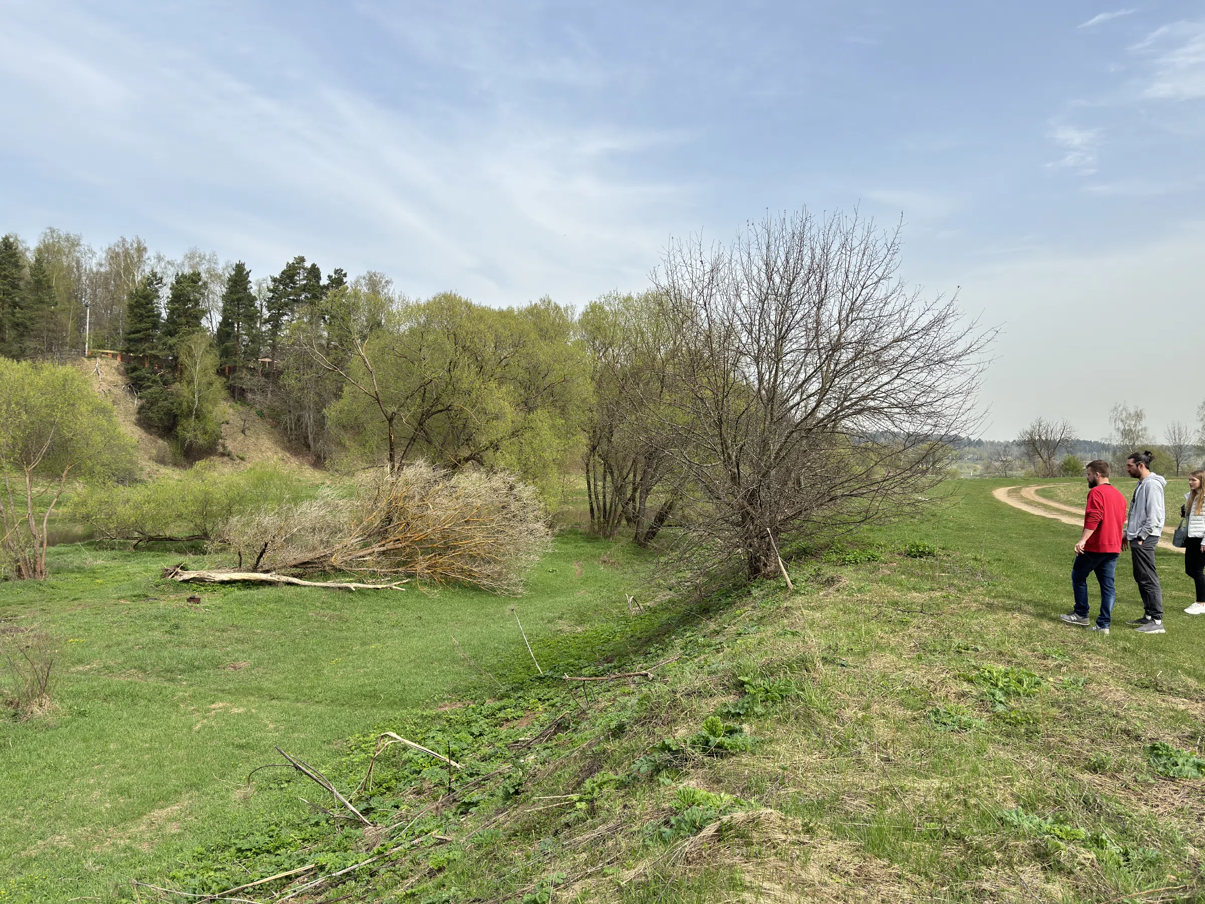 Поляна у изгиба реки, фото 14