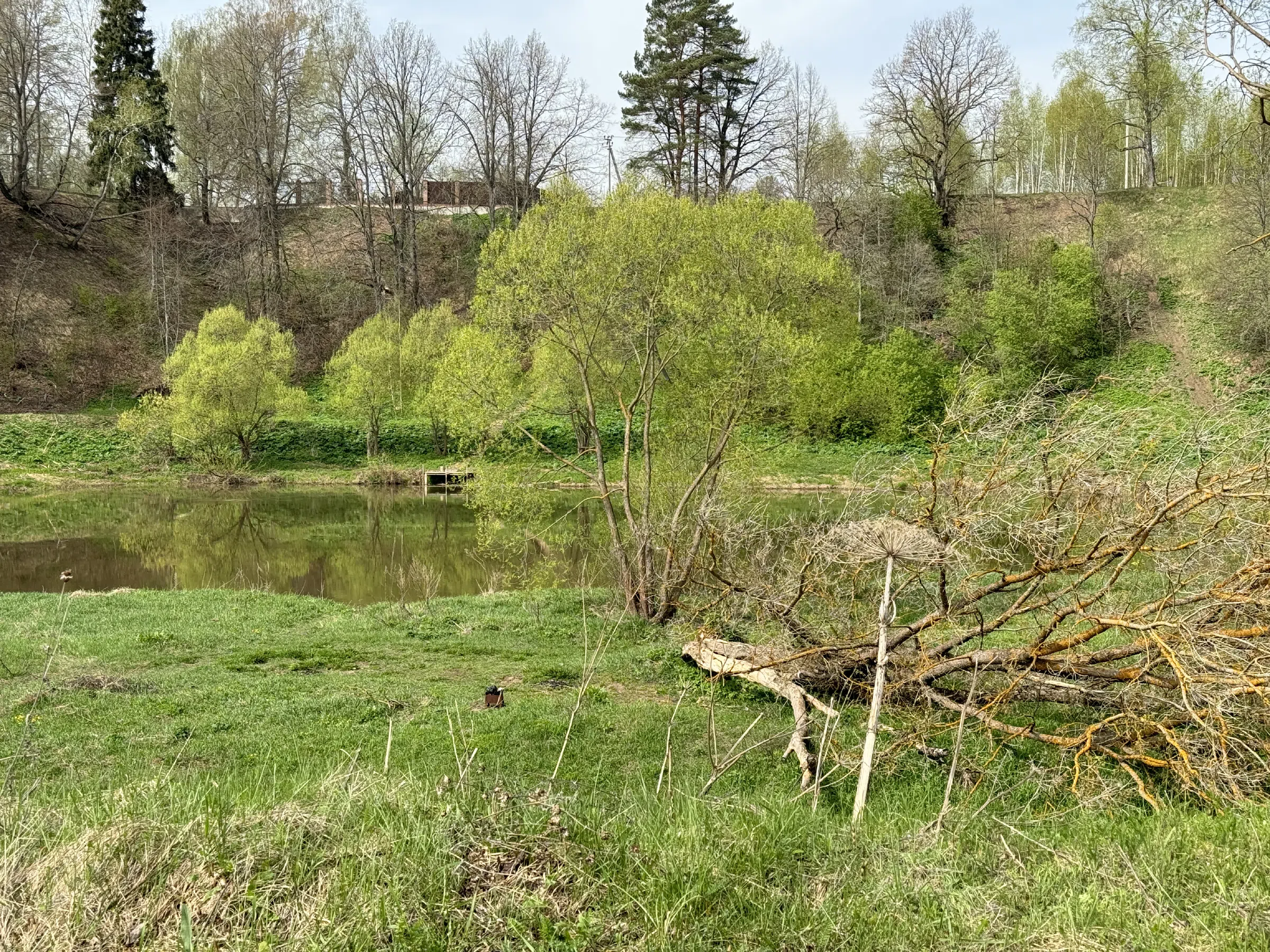 Поляна у изгиба реки, фото 9