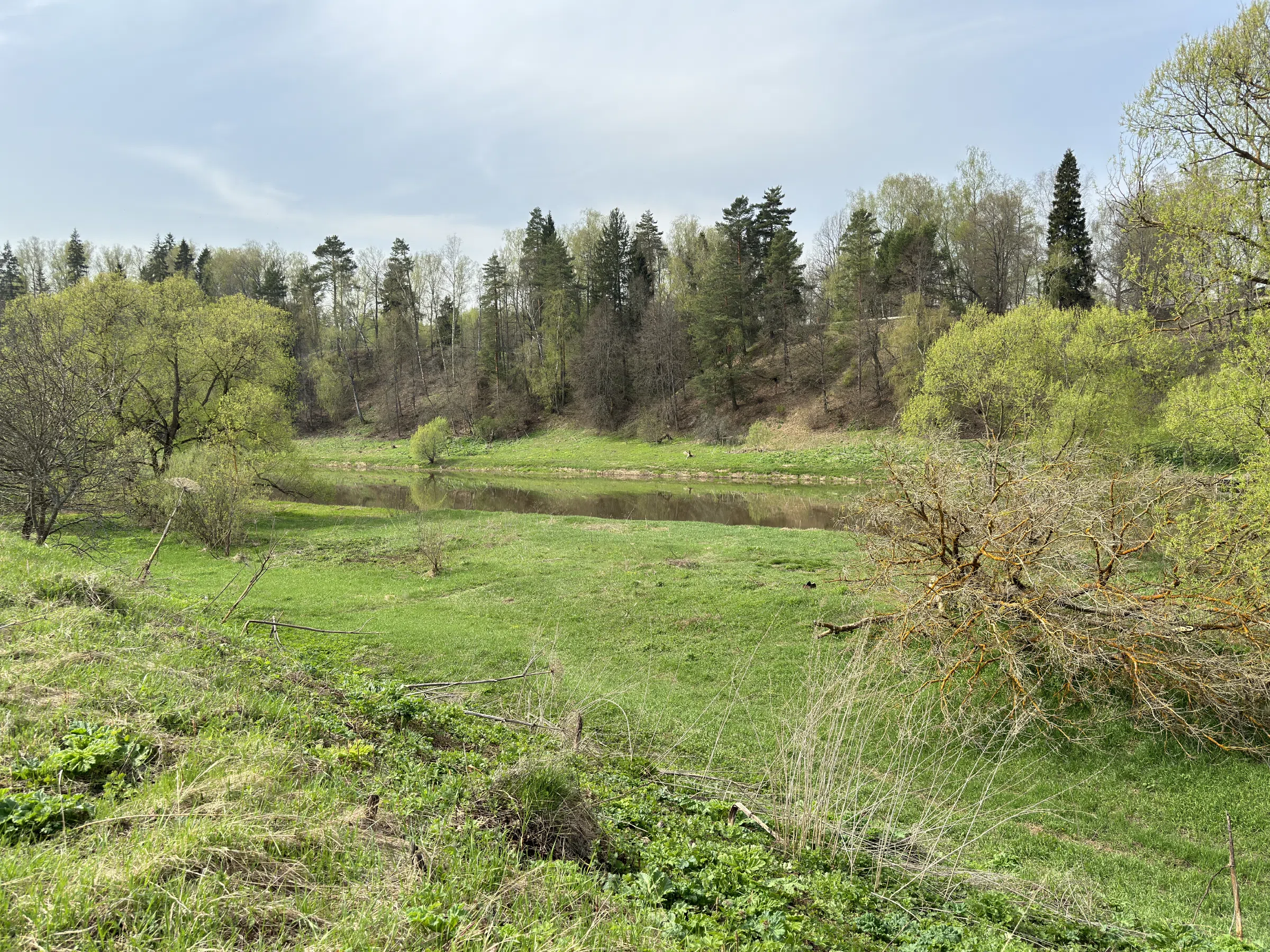 Поляна у изгиба реки, фото 11
