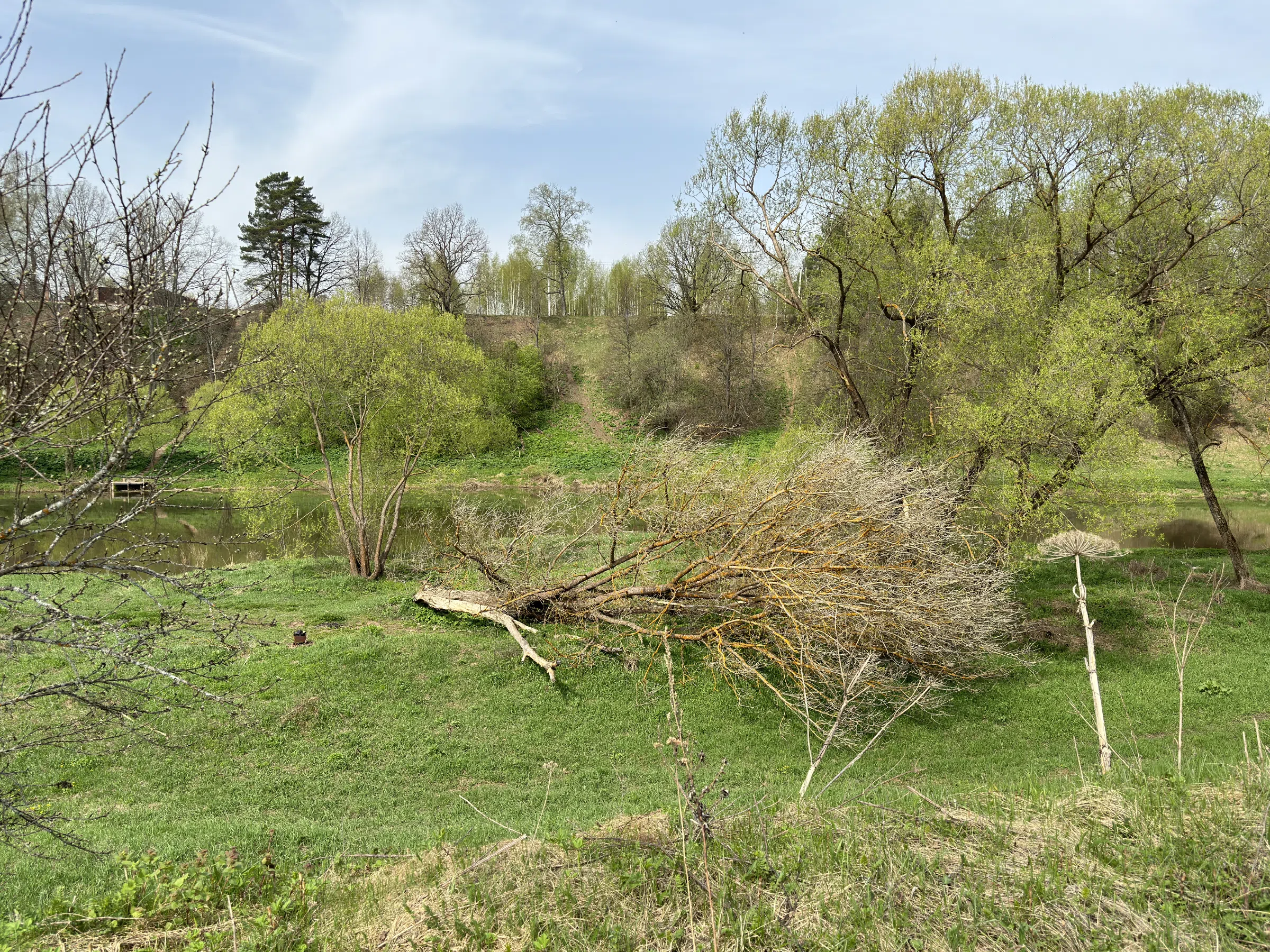 Поляна у изгиба реки, фото 10