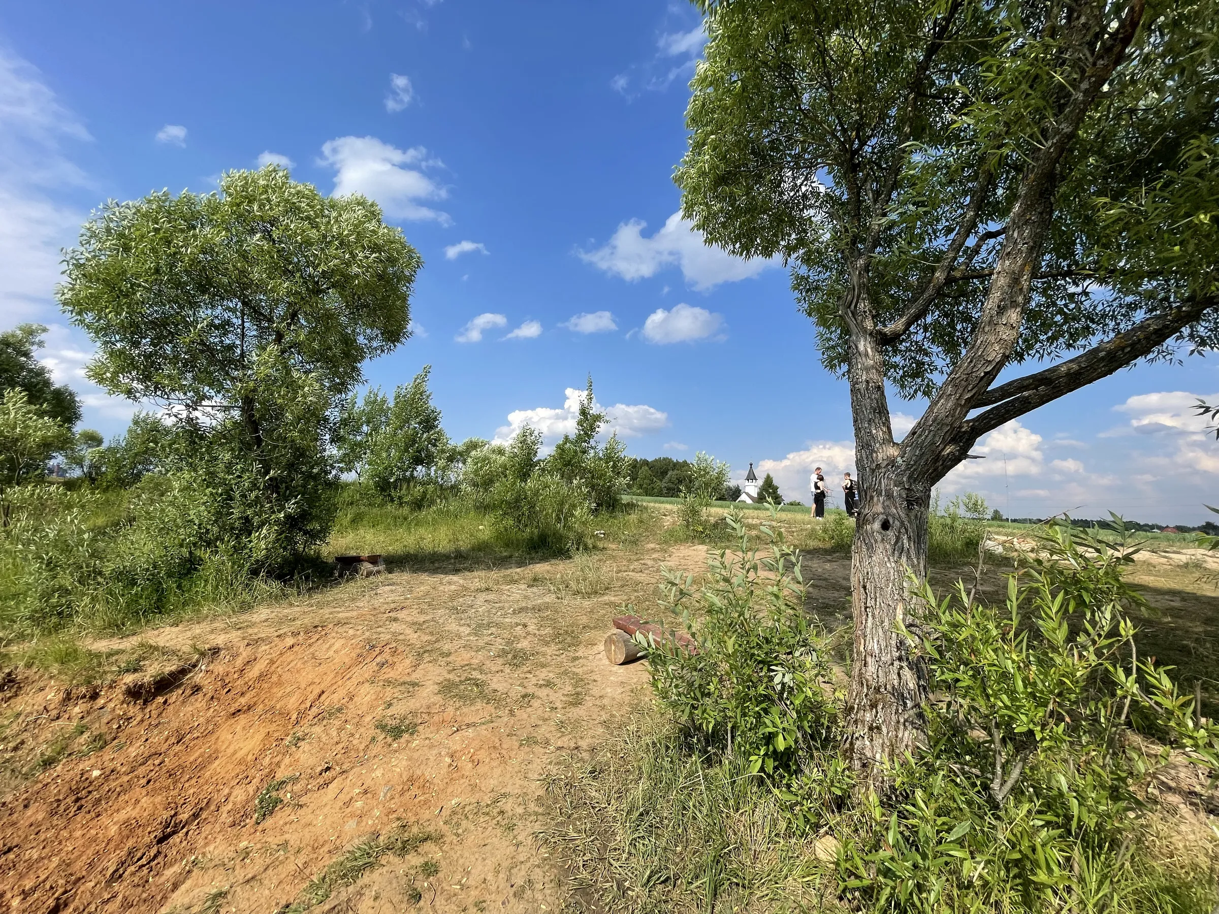 Поле с часовней и дорогой, фото 16