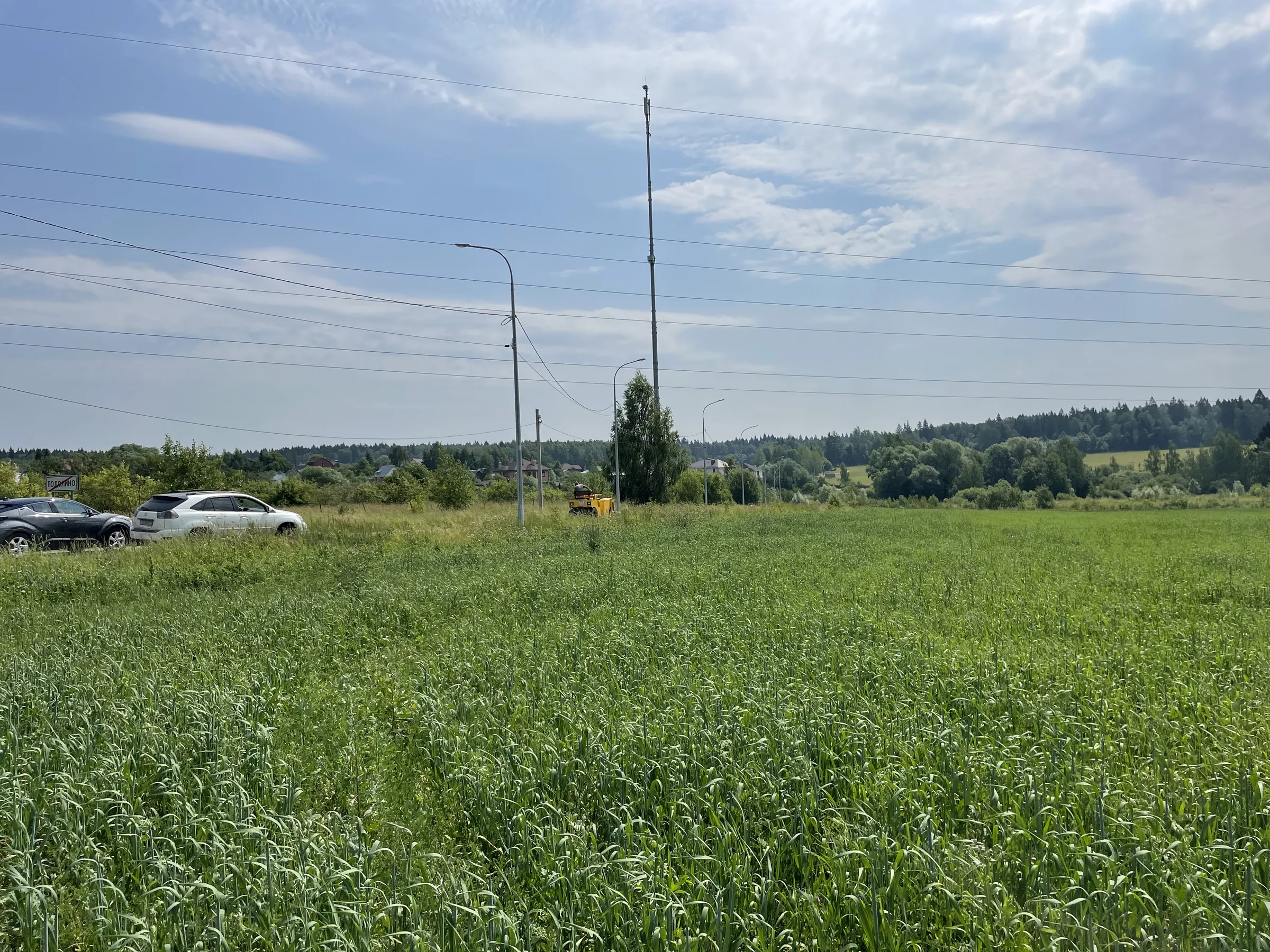 Поле с часовней и дорогой, фото 5