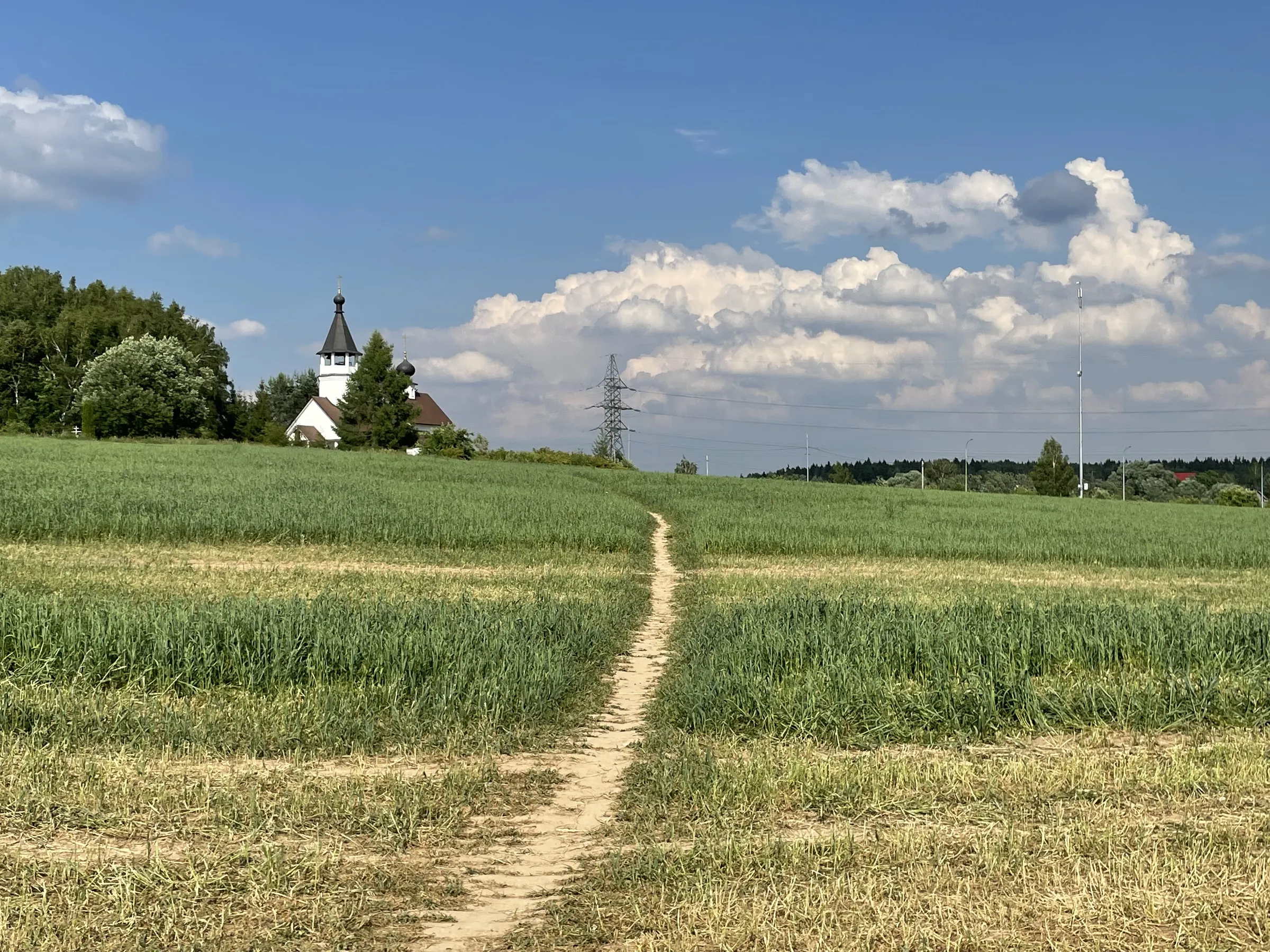 Поле с часовней и дорогой, фото 18