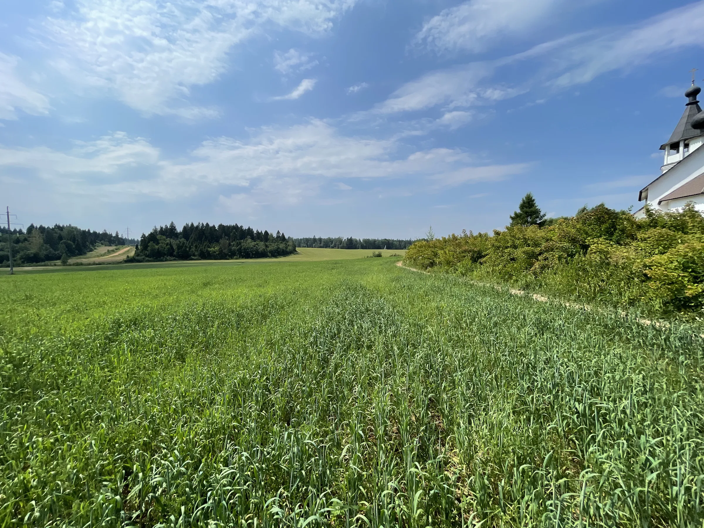 Поле с часовней и дорогой, фото 7