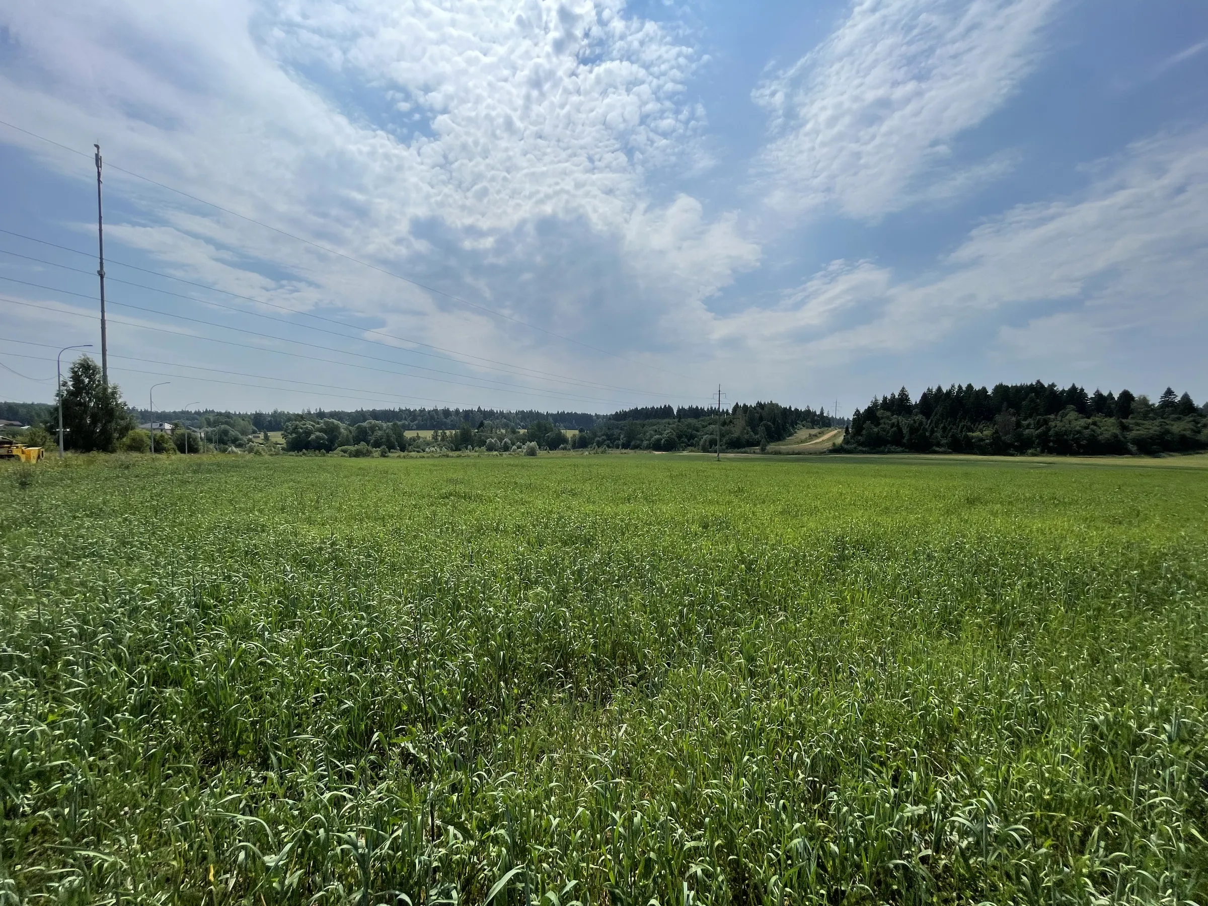 Поле с часовней и дорогой, фото 6