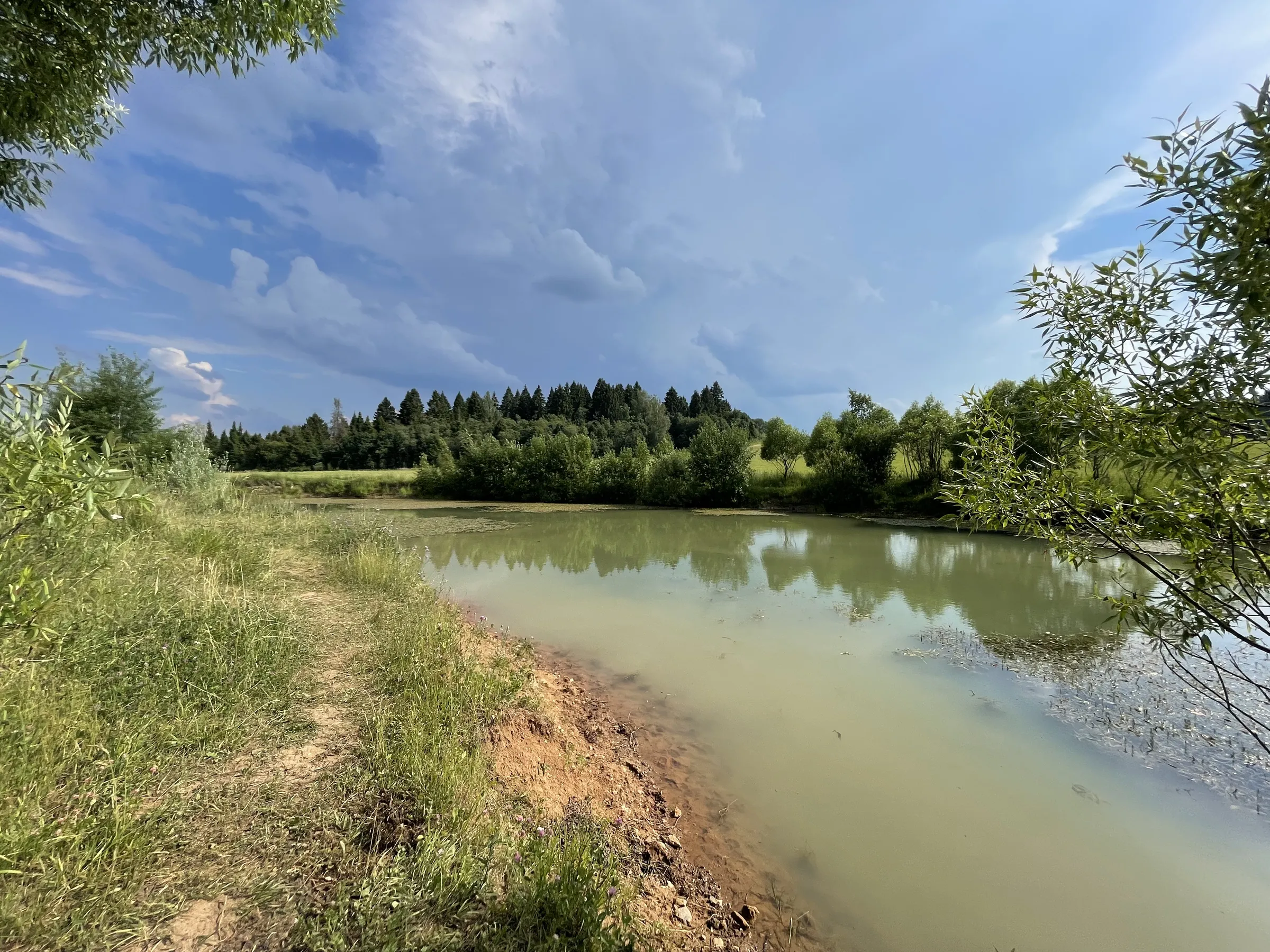 Поле с часовней и дорогой, фото 15