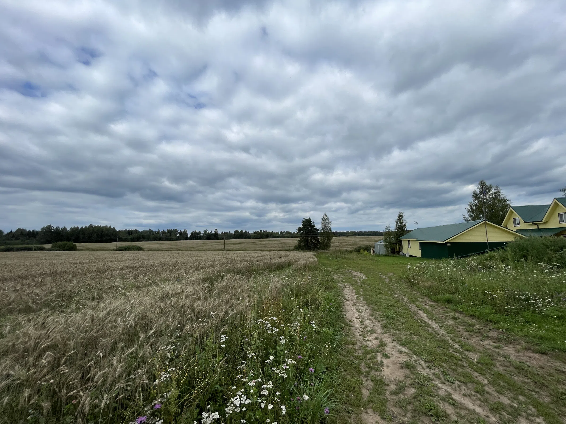 Полевая дорога, фото 22