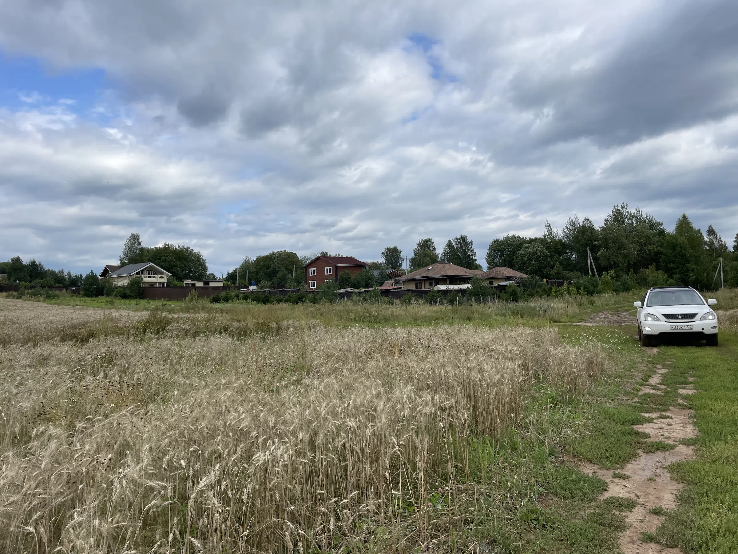 Полевая дорога, фото 7
