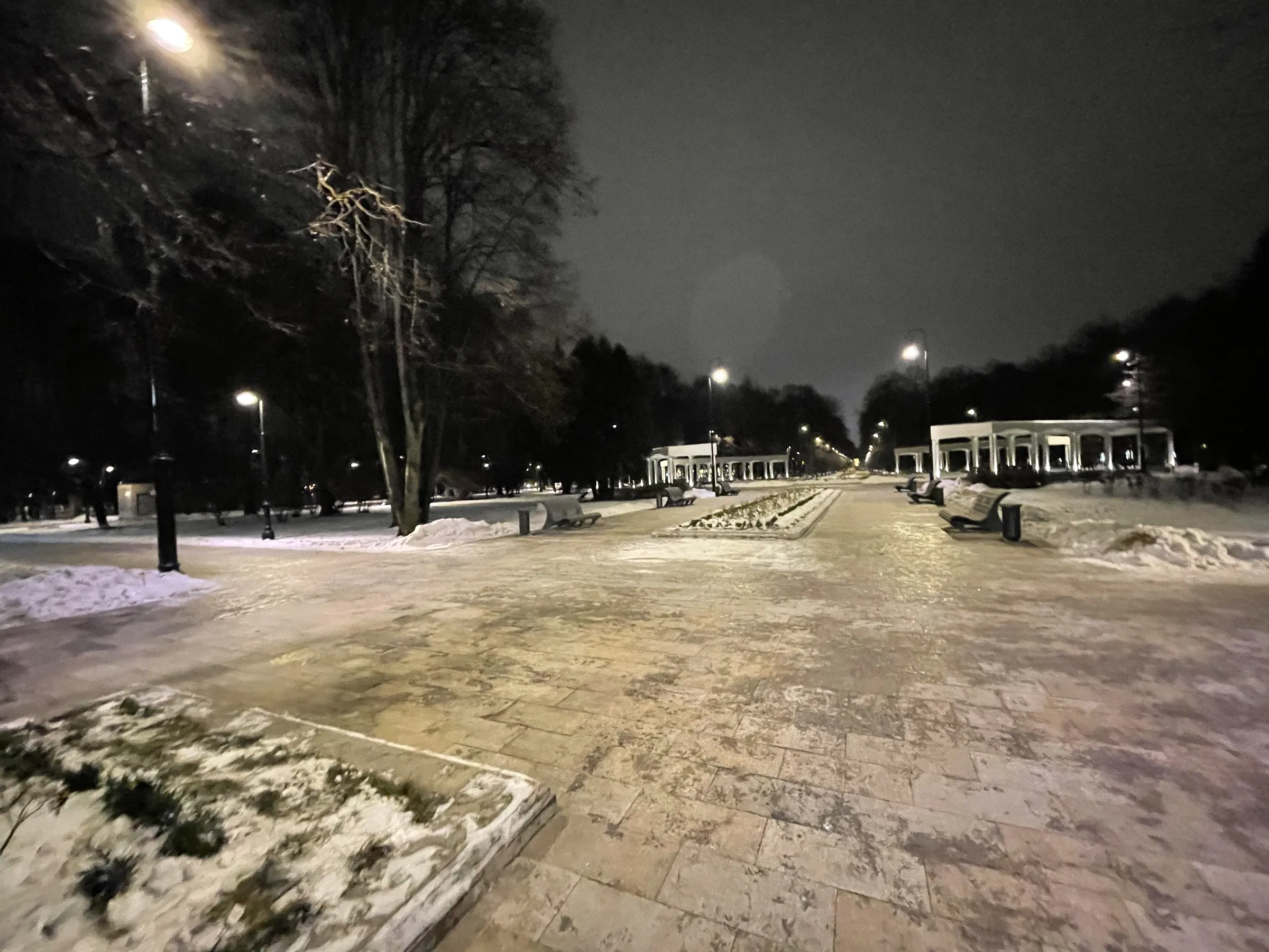 Зимний ночной парк, фото 1