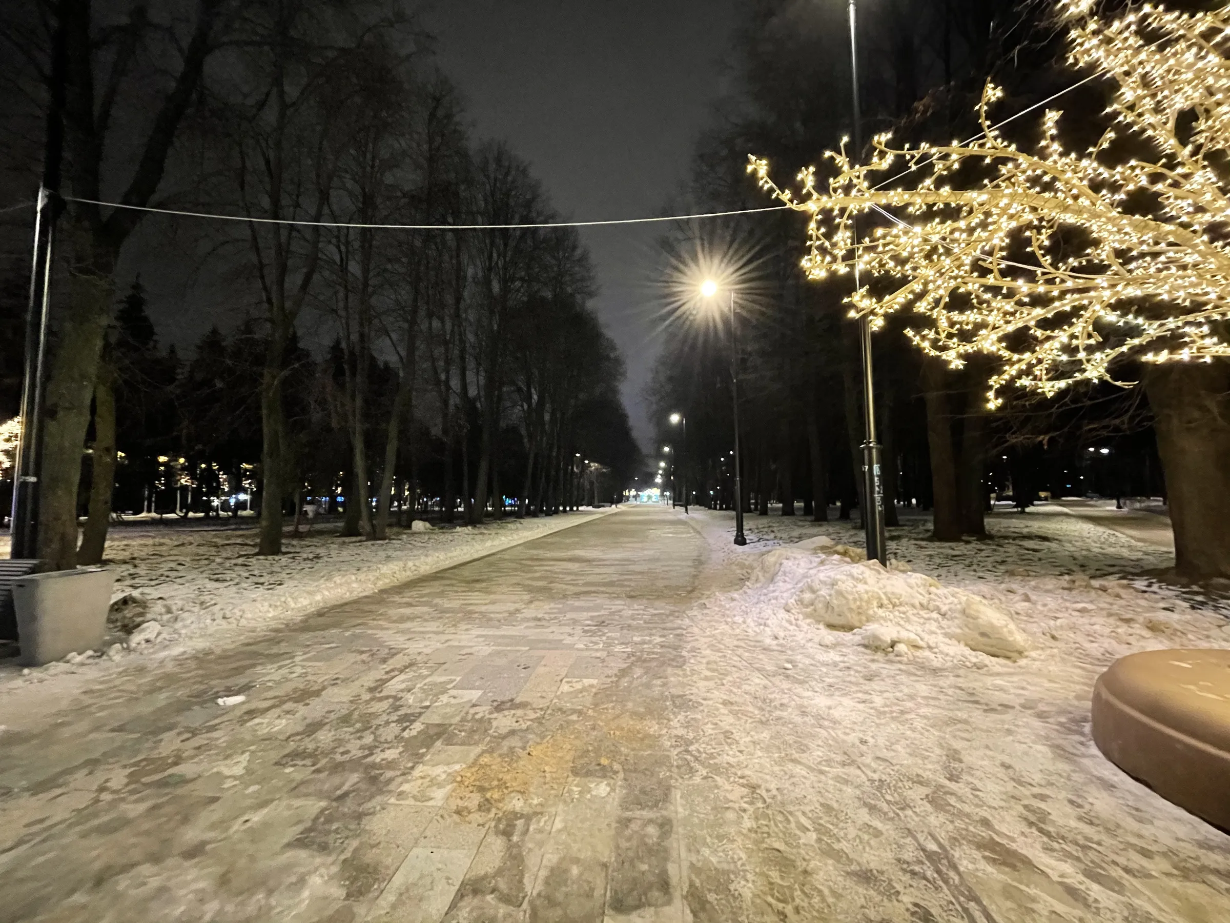 Зимний ночной парк, фото 6