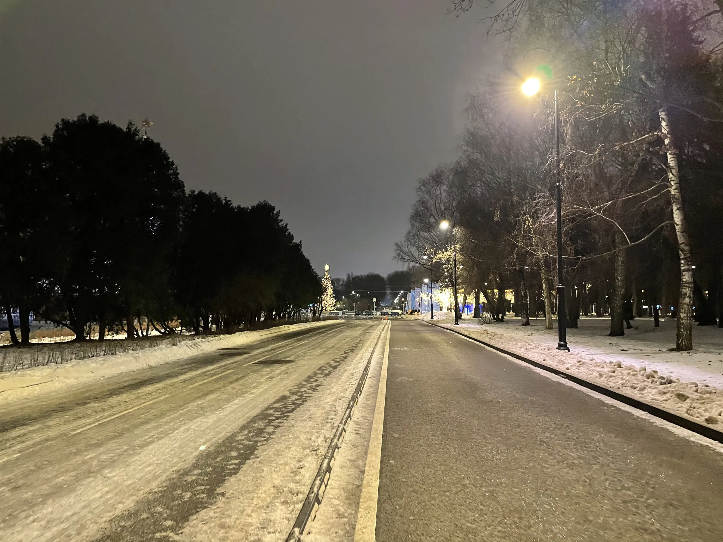 Зимний ночной парк, фото 2