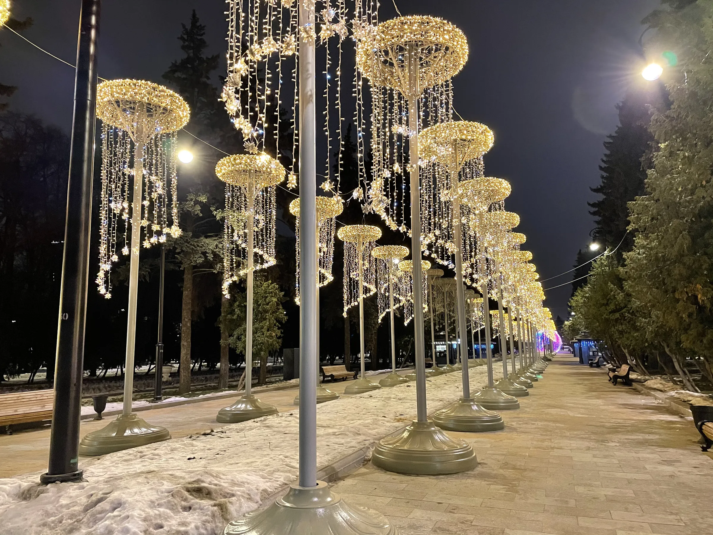 Зимний ночной парк, фото 10