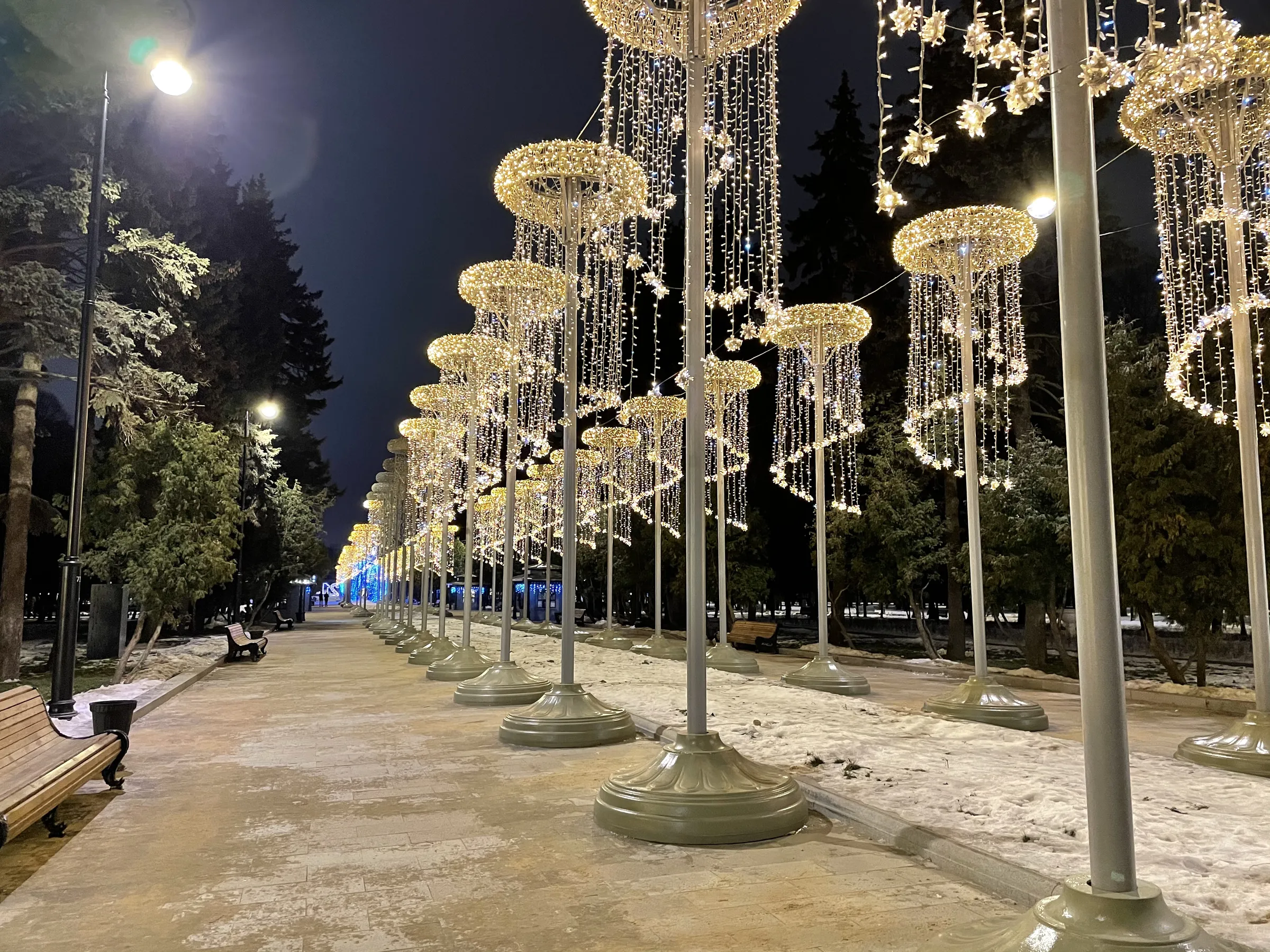 Зимний ночной парк, фото 12