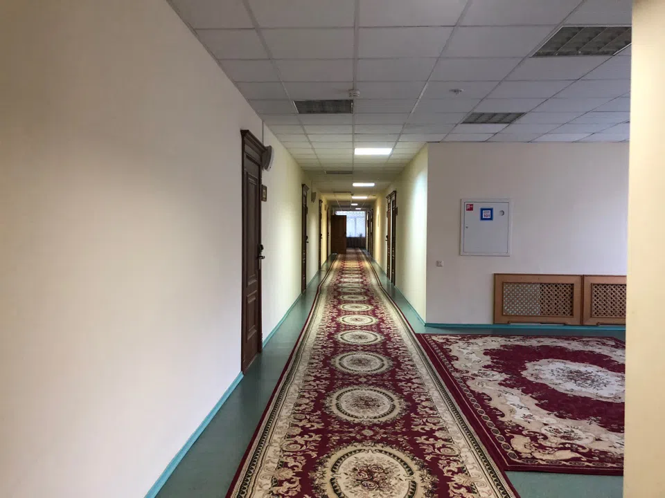 Старый парк с санаторием, фото 19