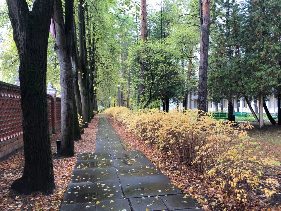 Старый парк с санаторием, фото 3